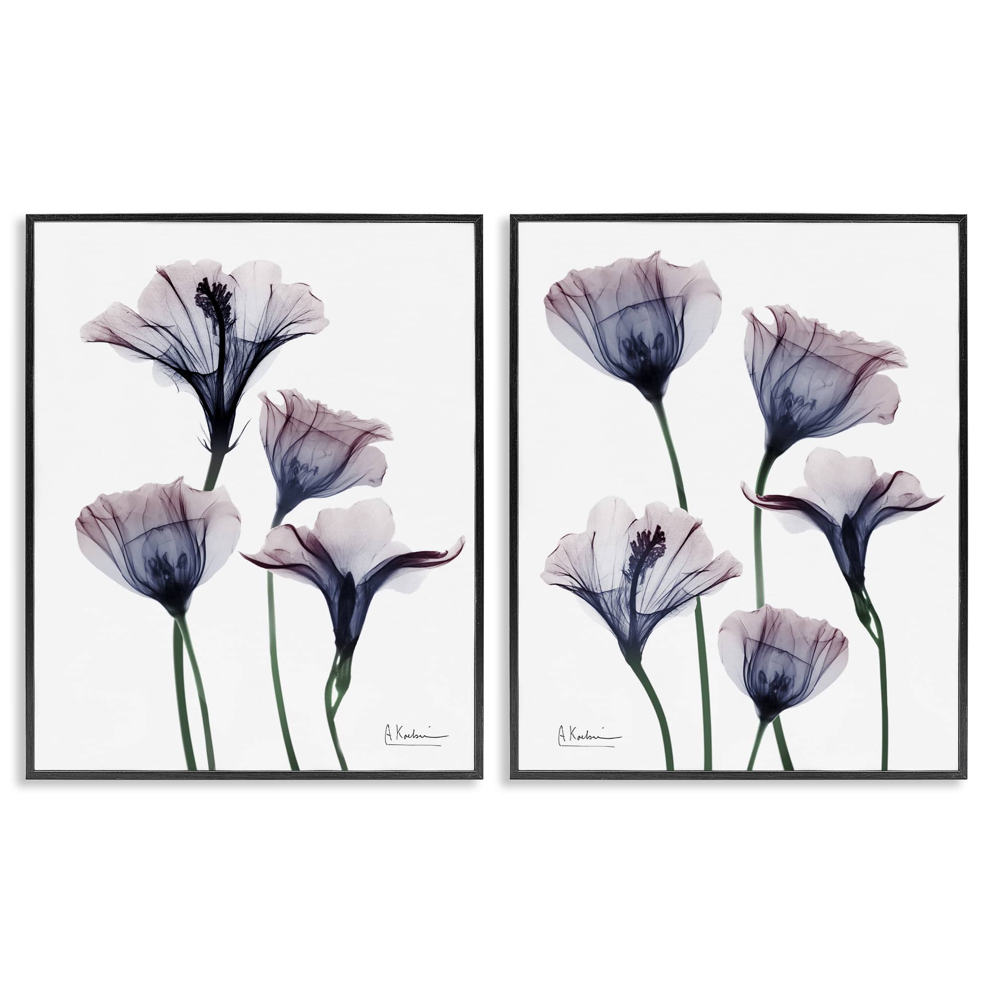 Stupell Industries B2-702-WFR-2PC-24X30 Bountiful Dusk Lilies 2pc Framed Giclee Set Design by Albert Koetsier