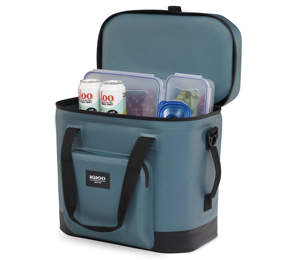 Igloo Spruce 30-Quart Insulated Bag Cooler 62207 at Lowes.com