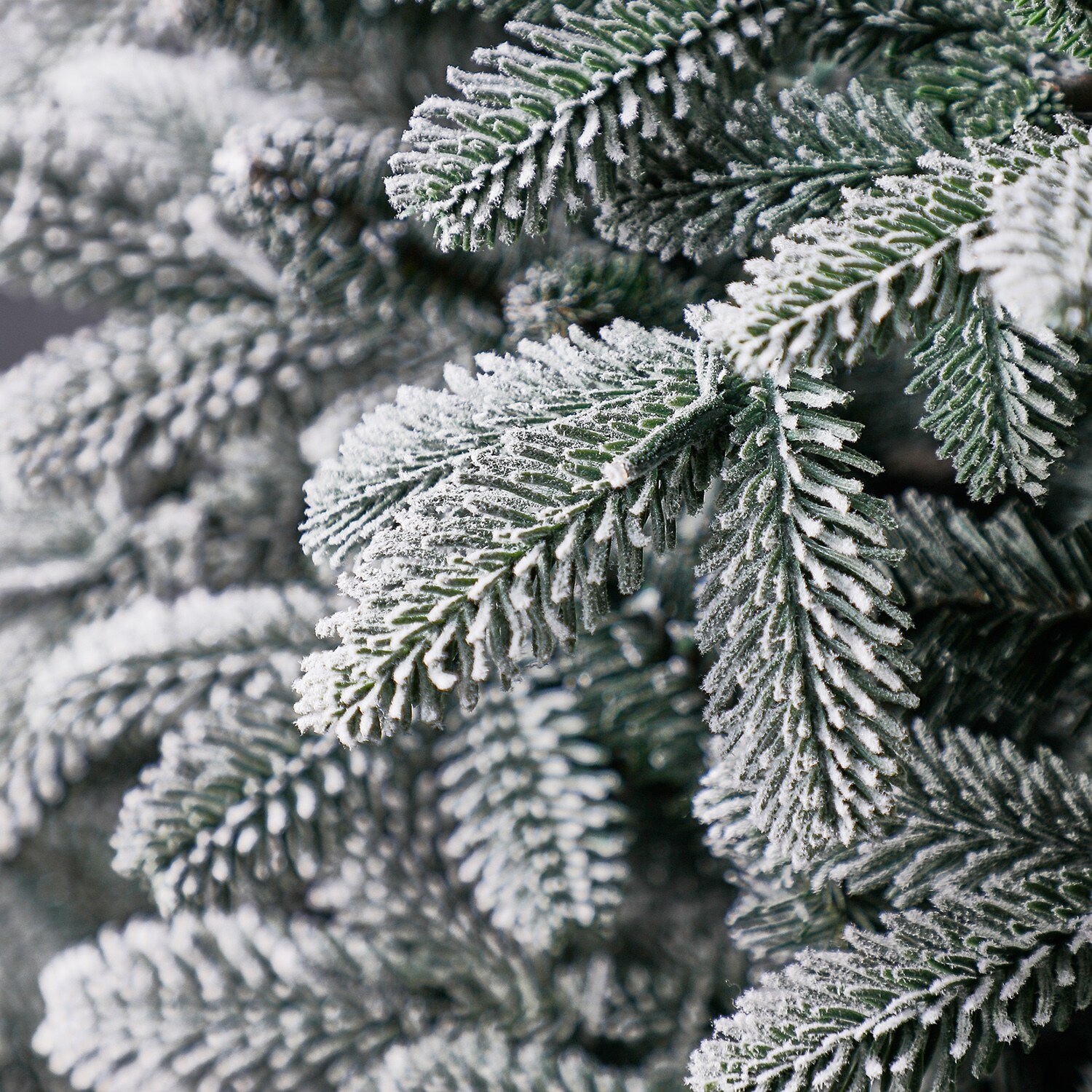 Holiday Living TG76P3D93D01 Artificial-Christmas-Trees - View #16