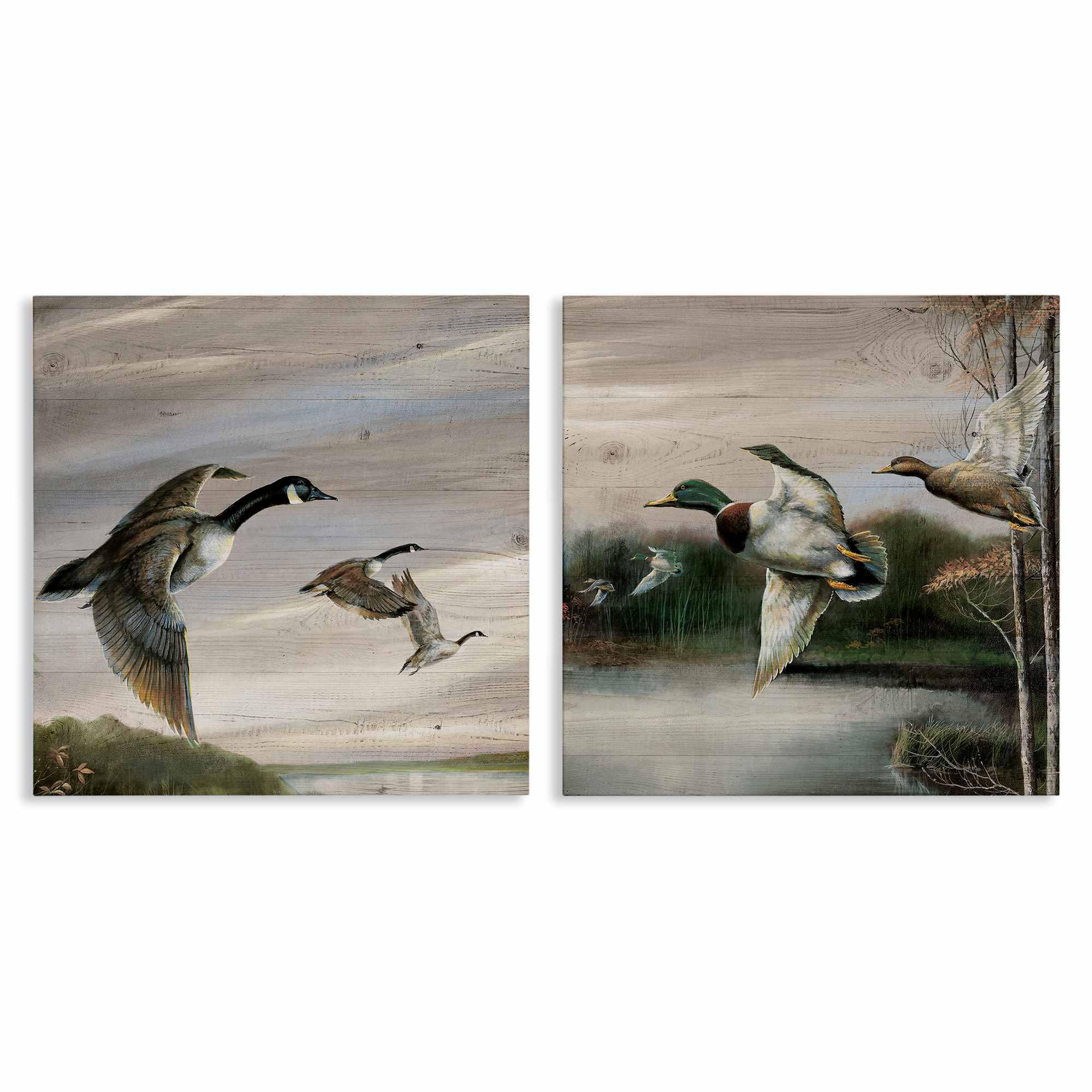 Stupell Industries B2-735-CN-2PC-24X24 Geese and Ducks in Nature 2 Piece Canvas Wall Art Set By Ruane Manning 24 x 24