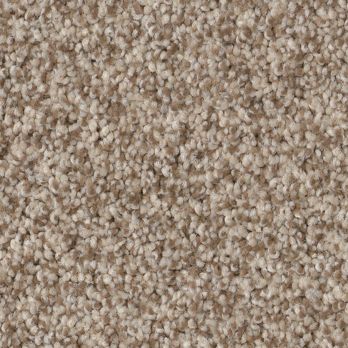 STAINMASTER PetProtect 7L858 - 724 - SAMP (Sample) Reverie III Cascade Brown 63.4-oz sq yard Nylon Textured Indoor Carpet