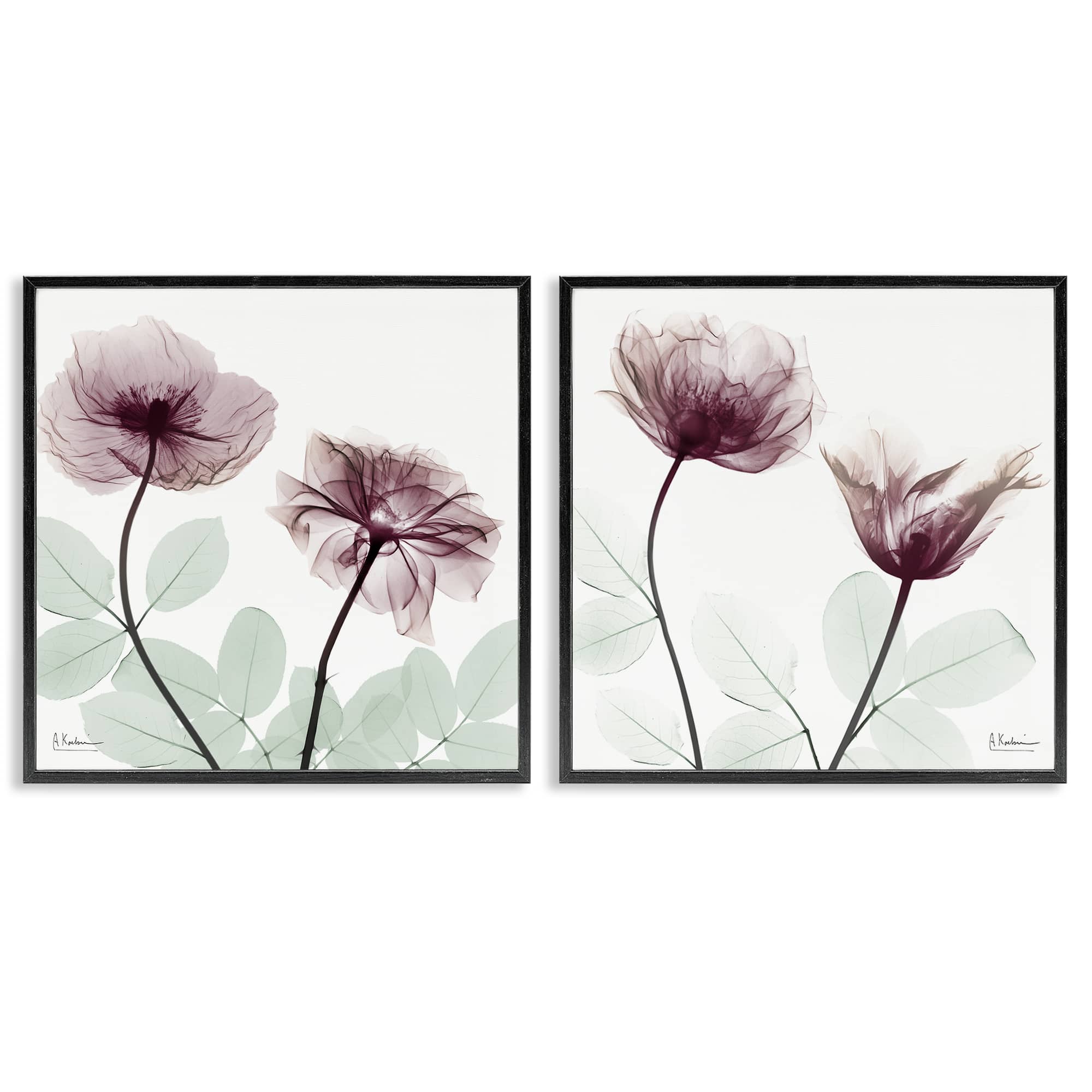 Stupell Industries B2-708-FR-2PC-12X12 Delicate Mauve Flowers 2 Piece Black Framed Giclee Art Set By Albert Koetsier 12 x 12