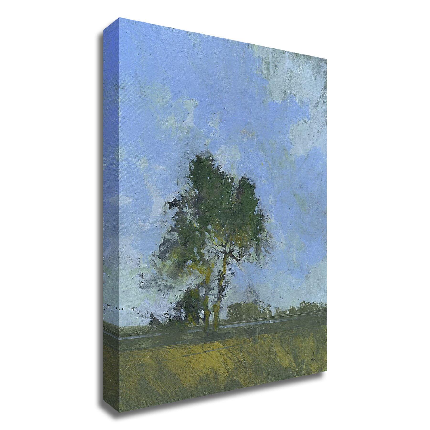 Tangletown Fine Art 8B3601DC-2127 Sandlings Dawn Paul Bailey 27-in H x 21-in W Abstract Print on Canvas