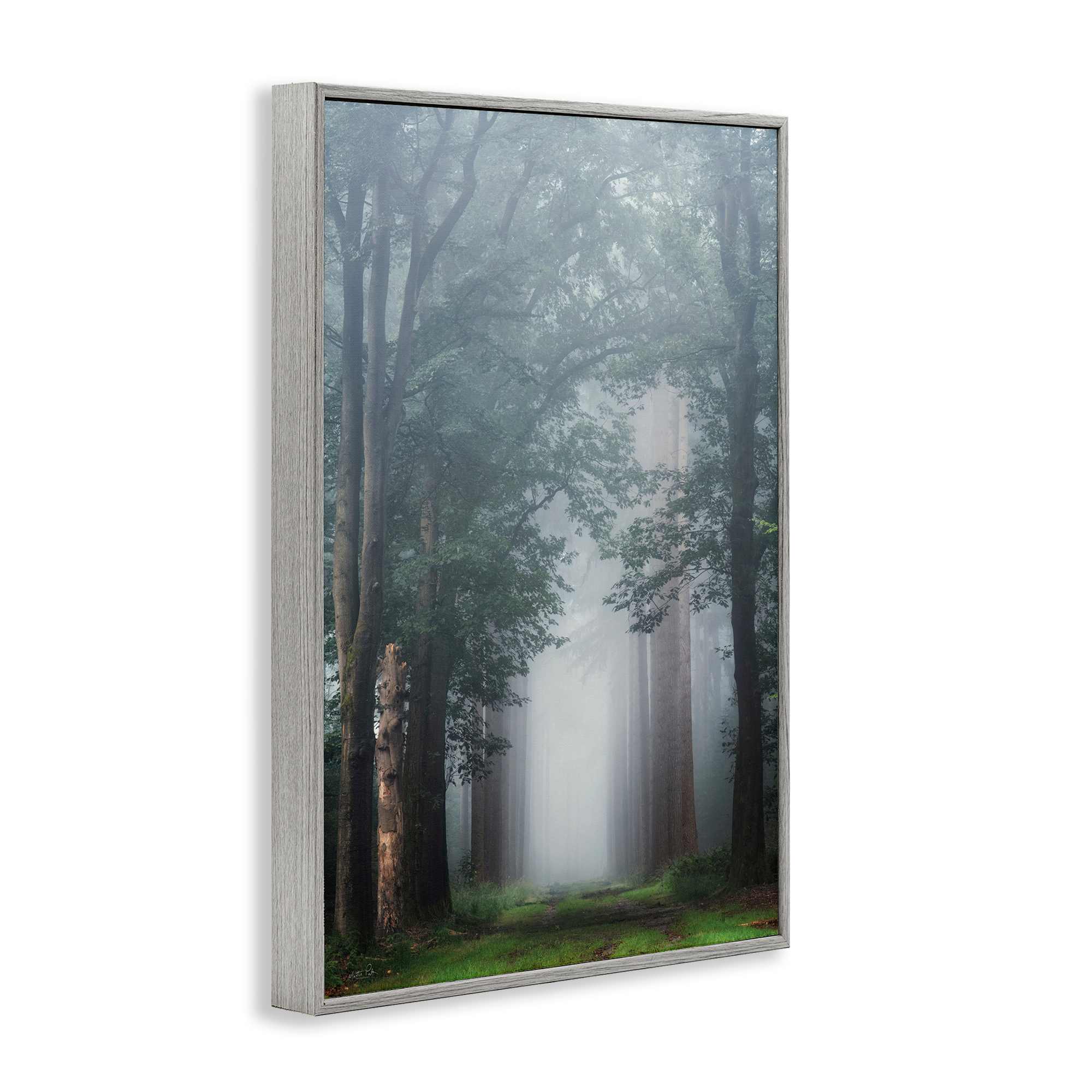 Stupell Industries BT-590-GFF-16X24 Wall-Art - View #2