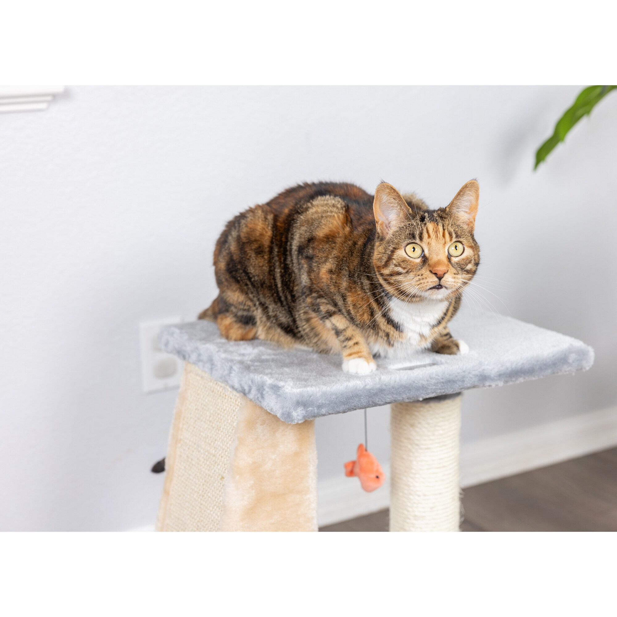Gray and Beige Sisal Carpet Two-Level Cat Scratcher