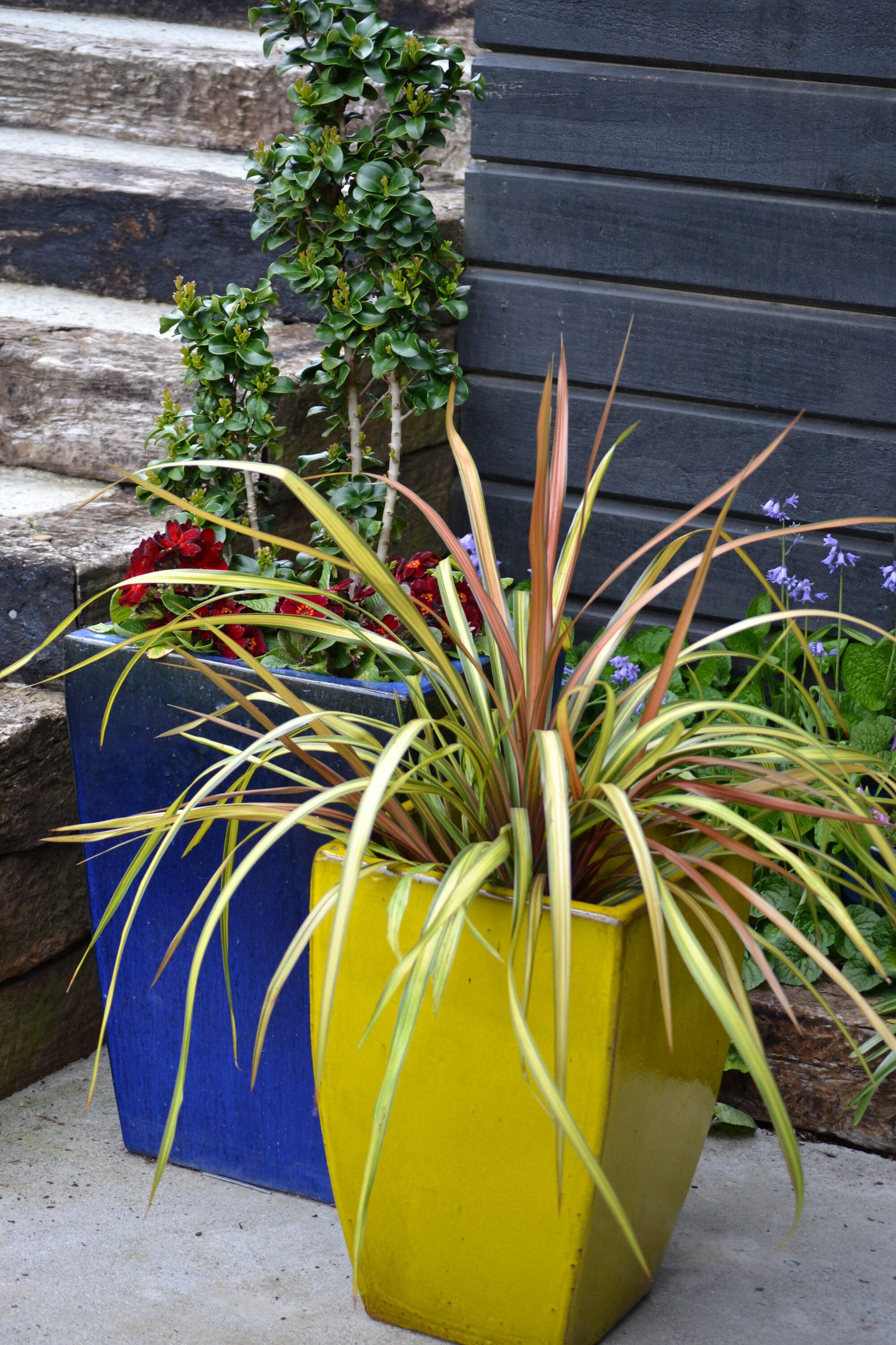  2473 perennials - View #3