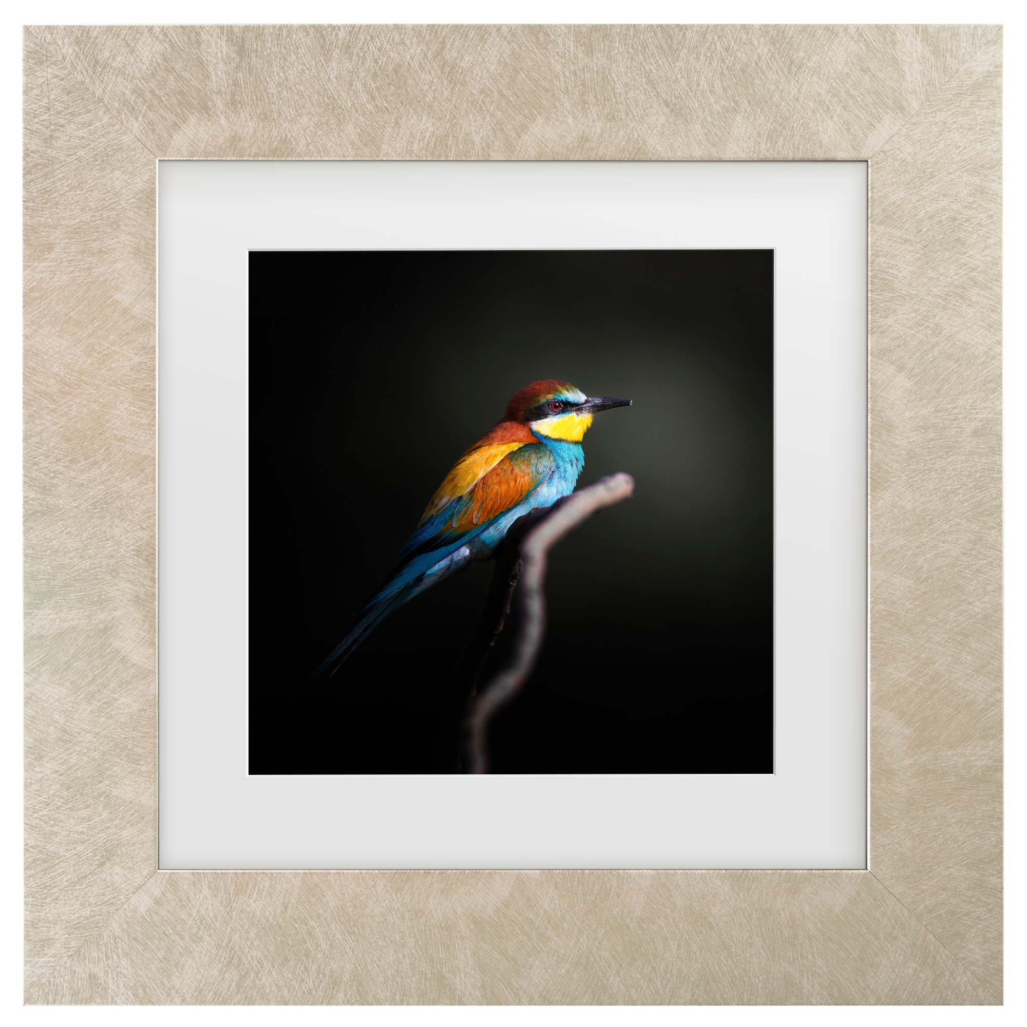 Trademark Fine Art 1X10946-C1111MF Wall-Art - View #2