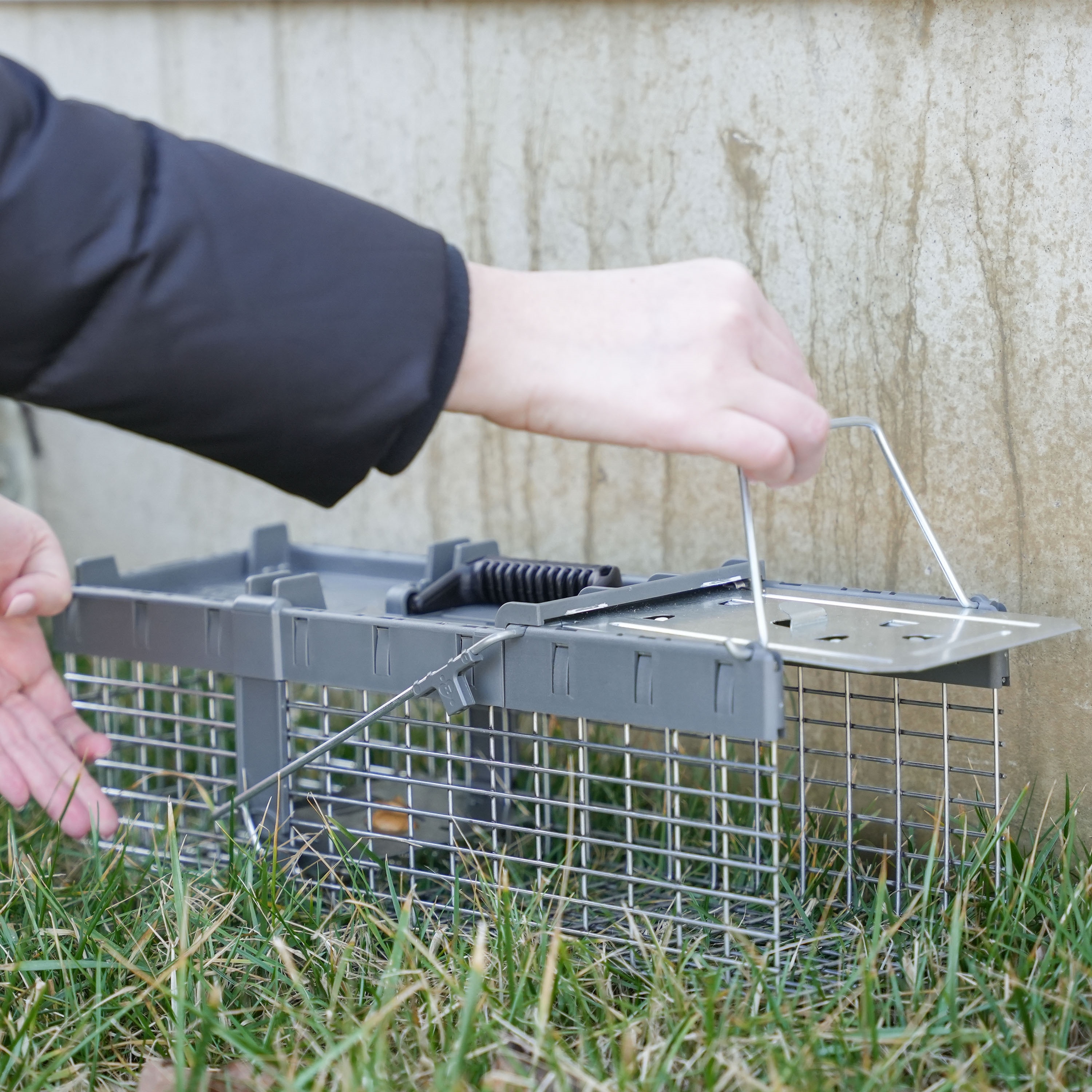 Havahart Traps in the Animal & Rodent Control department at Lowes.com