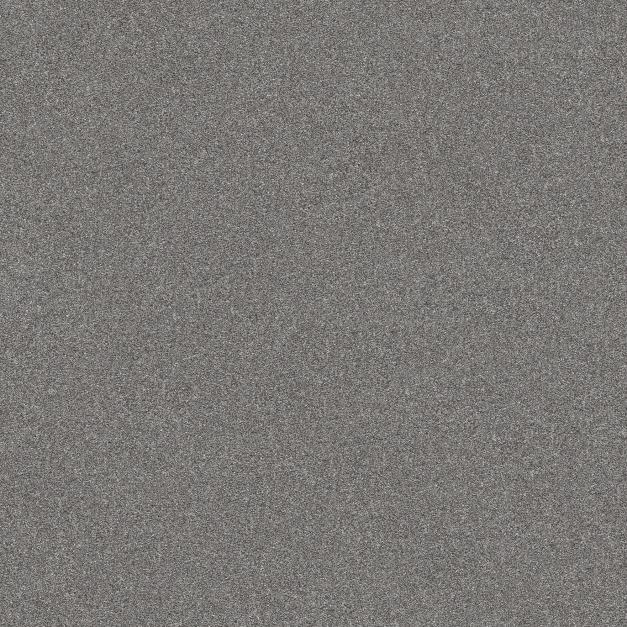 Style Selections 7L922 - 531 - SAMP Carpet-Samples - View #3