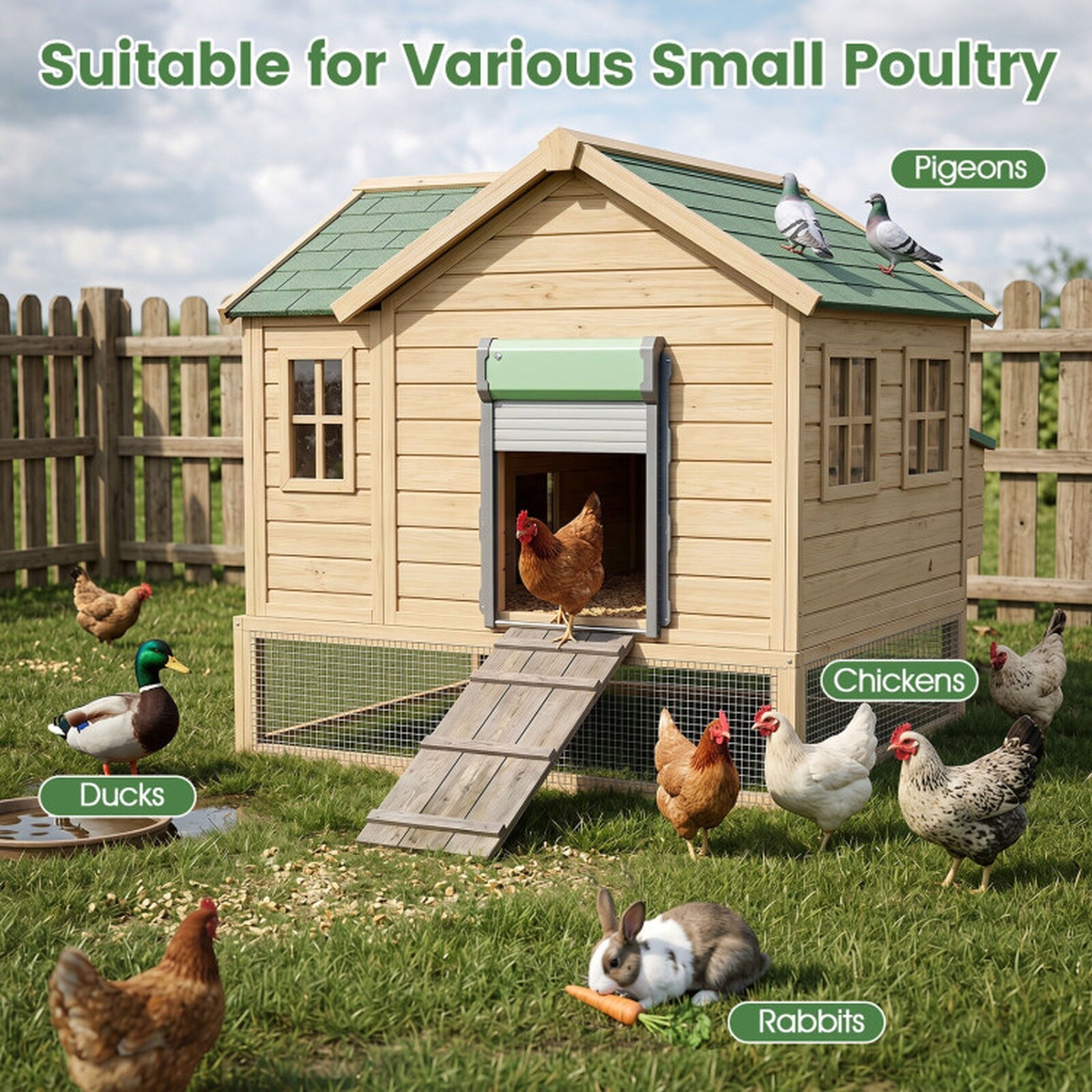 SUGIFT LW108SUGHY3636 Chicken-Coops-Rabbit-Hutches - View #8