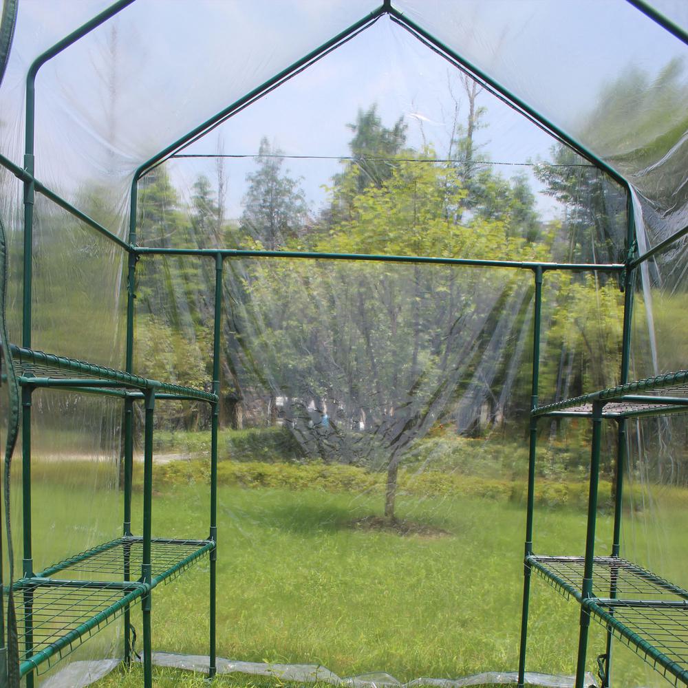 CASAINC WF-W41923659 greenhouses - View #5