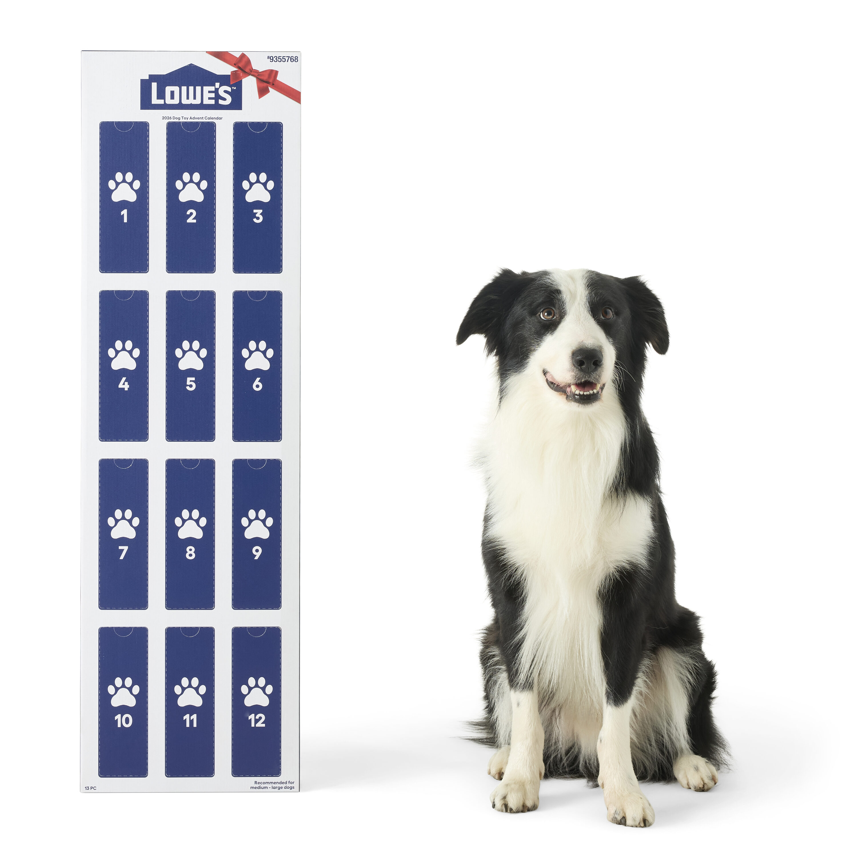 Lowe's Pet Toys at Lowes.com