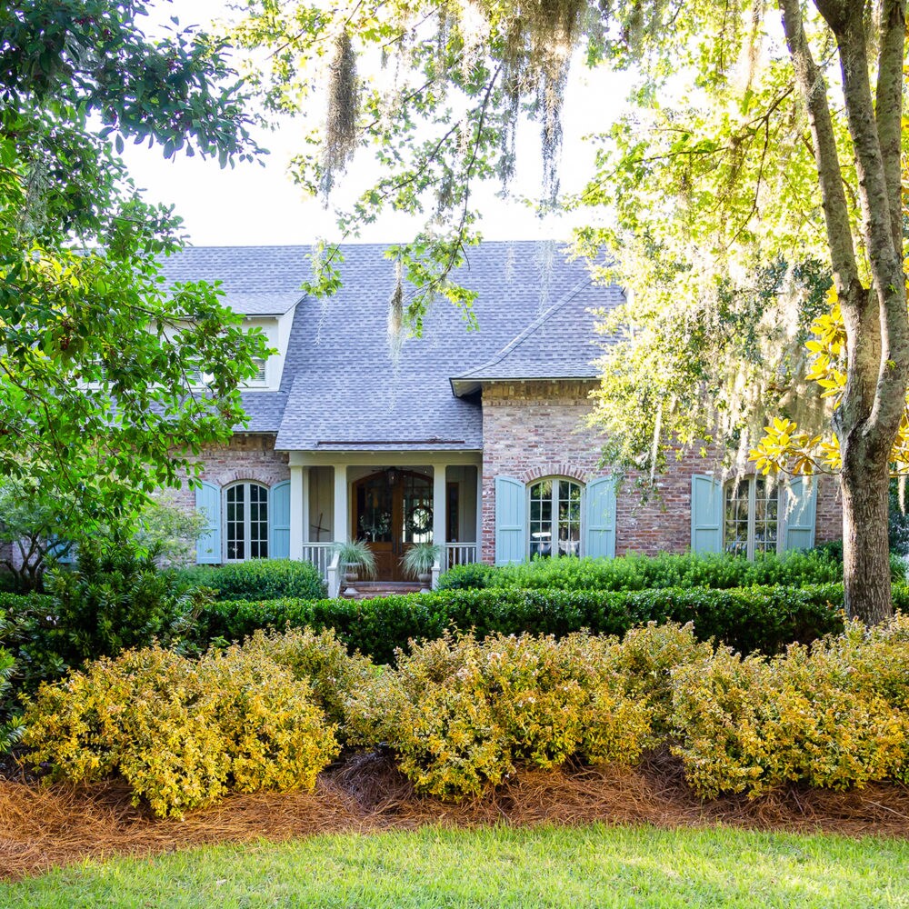 Southern Living Plant Collection 1532-1 shrubs - View #4