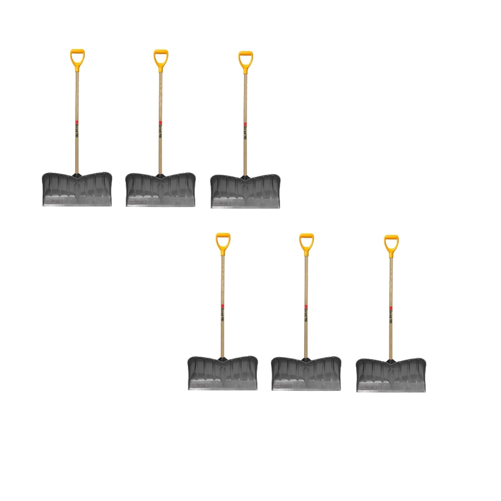  Multicolored Scoop Pack of 6