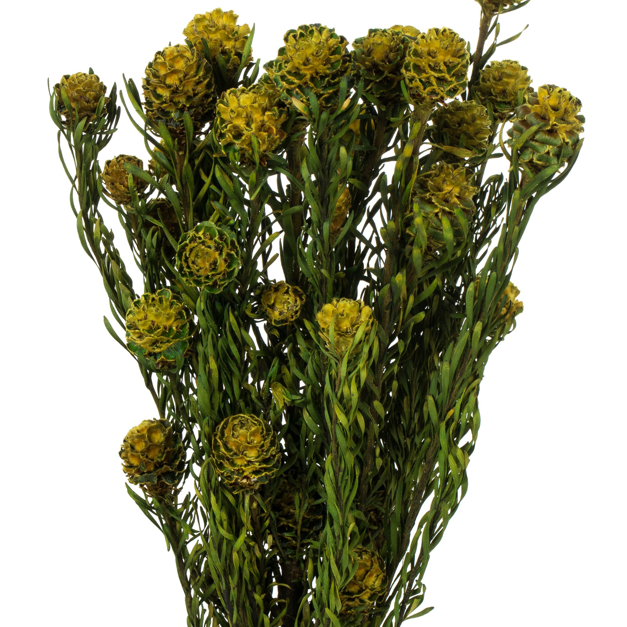 Vickerman H1TOFX700-2 Artificial-Plants-Trees - View #2