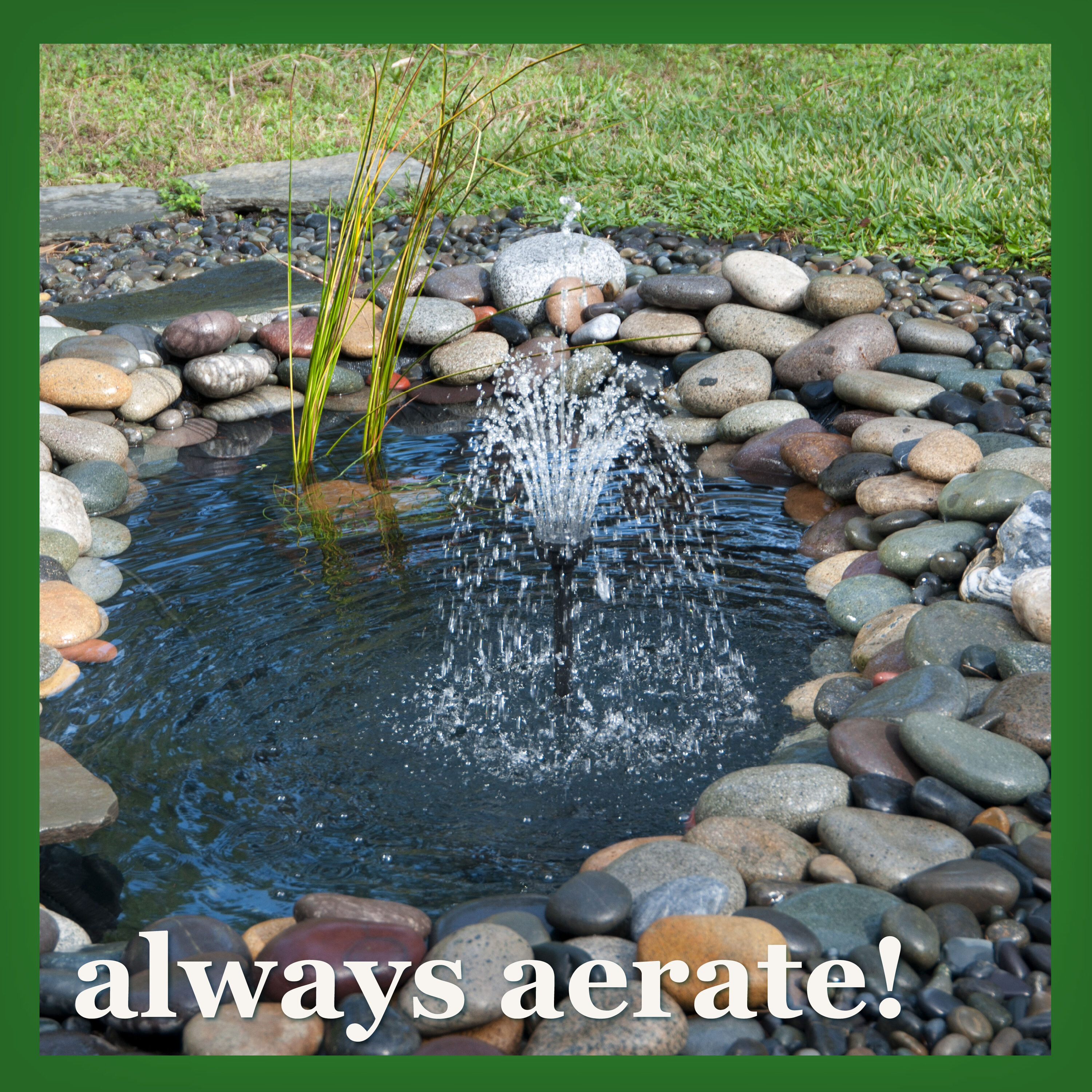 smartpond 54396 Pond-Cleaners - View #8