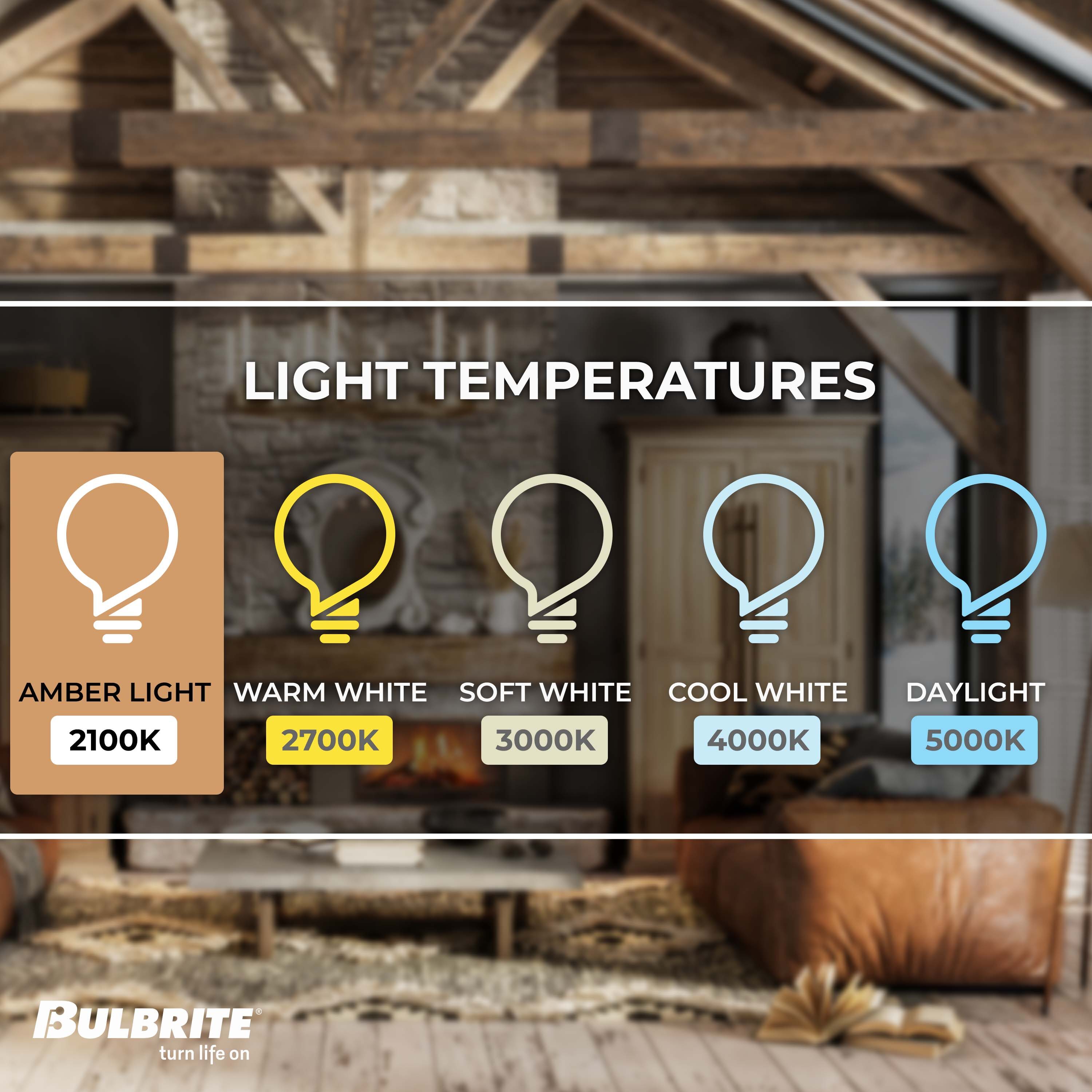 Bulbrite 862780 Dec-Led-Light-Bulbs - View #3