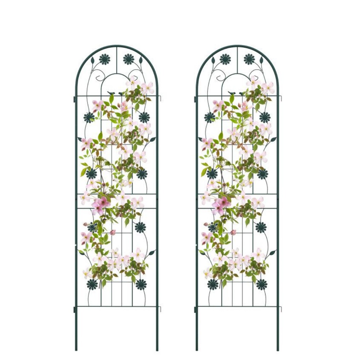 AHIOU HOME ZAAHD-HQRCHWGT Newark 20-in W x 71-in H Green Steel Garden Trellis For Climbing Plants For Cucumbers For Roses For Tomatoes 2 -Pack