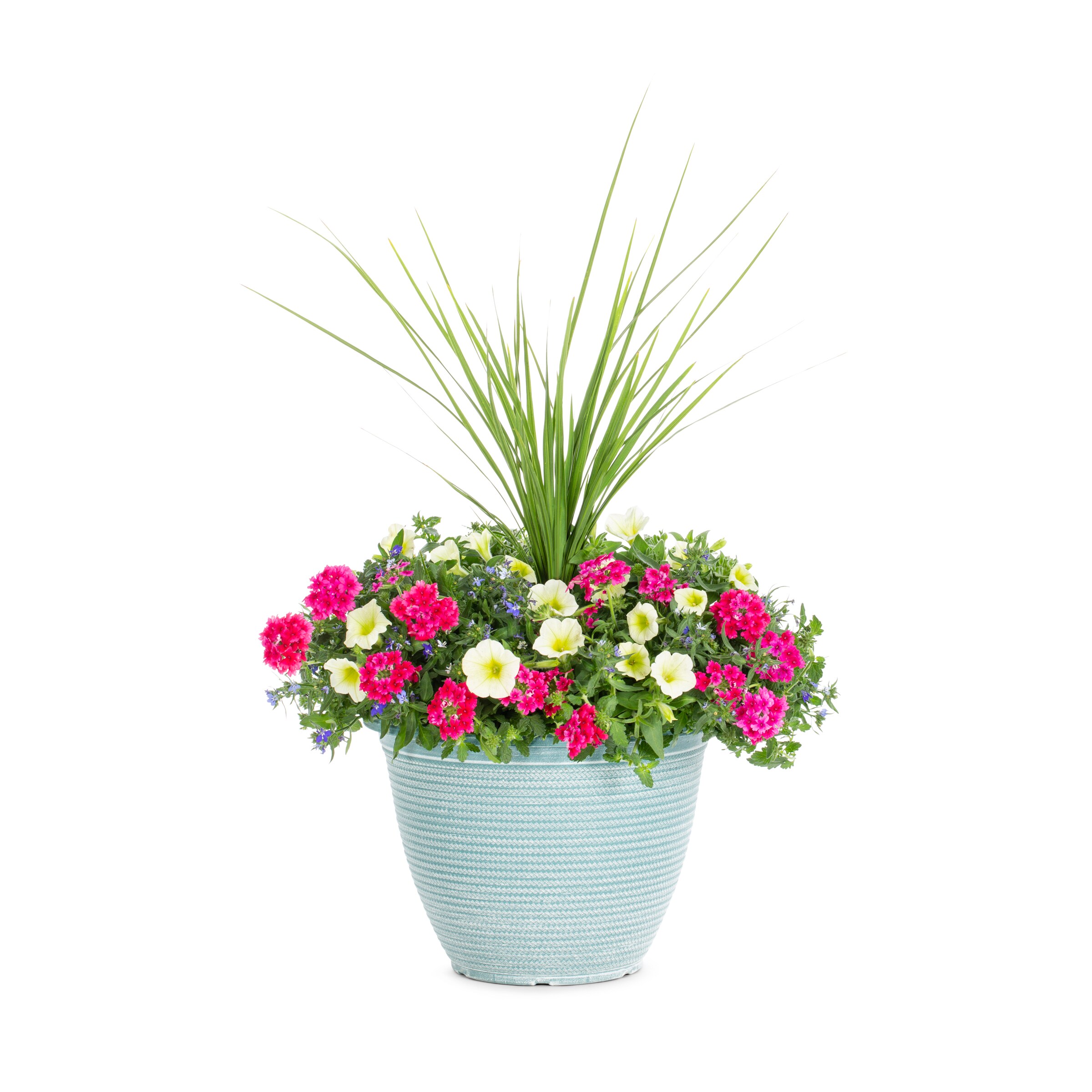 Lowe's Multicolor Mixed Annuals Combinations in 2.5-Gallon Planter in ...