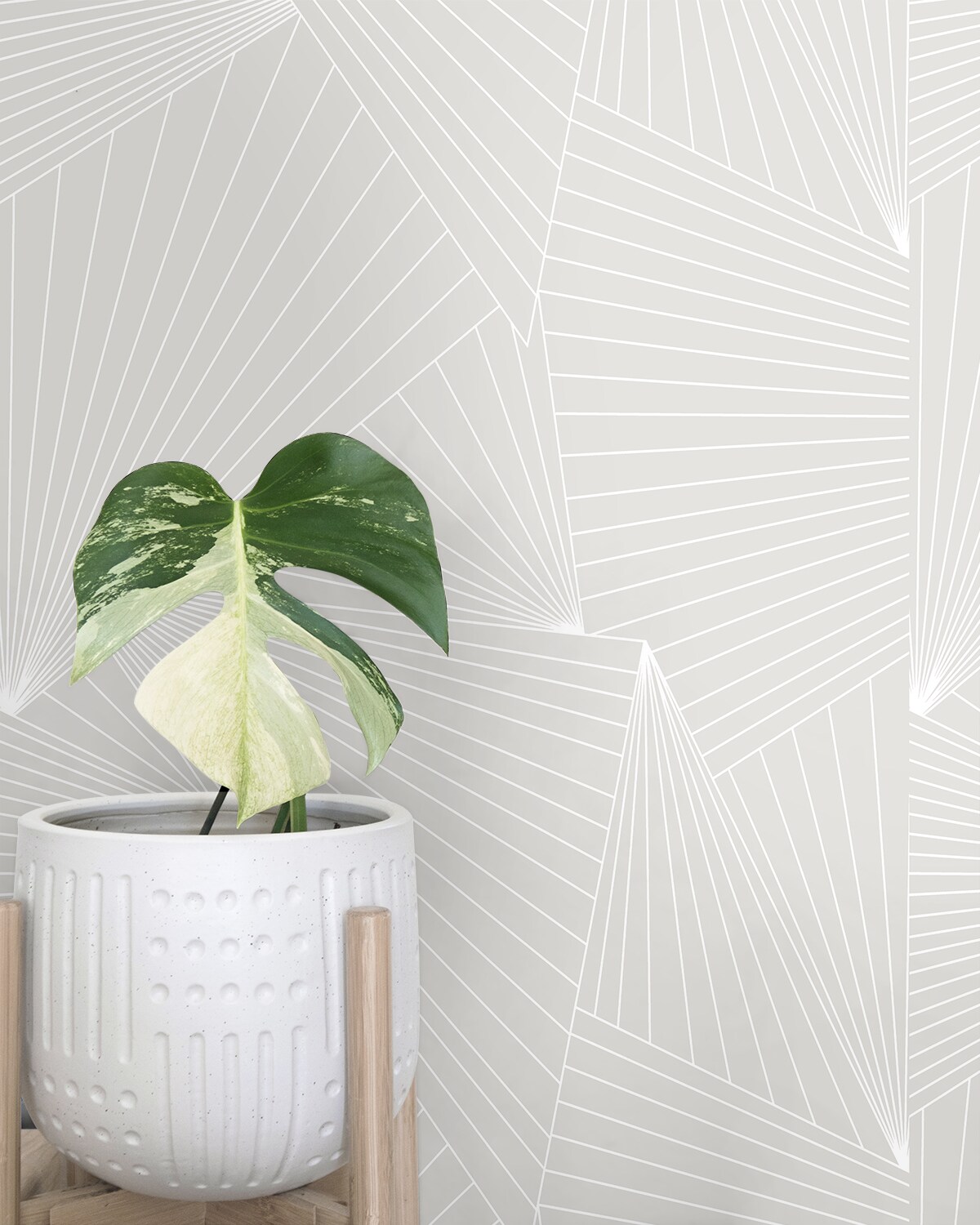 NextWall NW41308 wallpaper - View #4