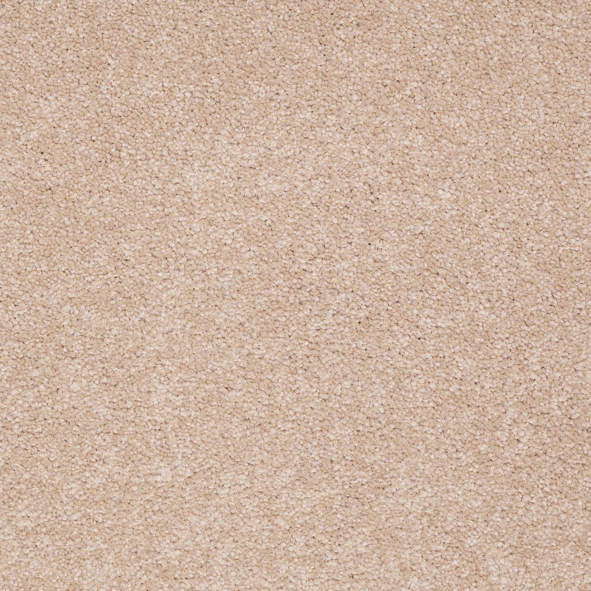 STAINMASTER PetProtect 7L881 - 110 - SAMP (Sample) Best Of Breed I Rattan Brown 48.8-oz sq yard Nylon Textured Indoor Carpet