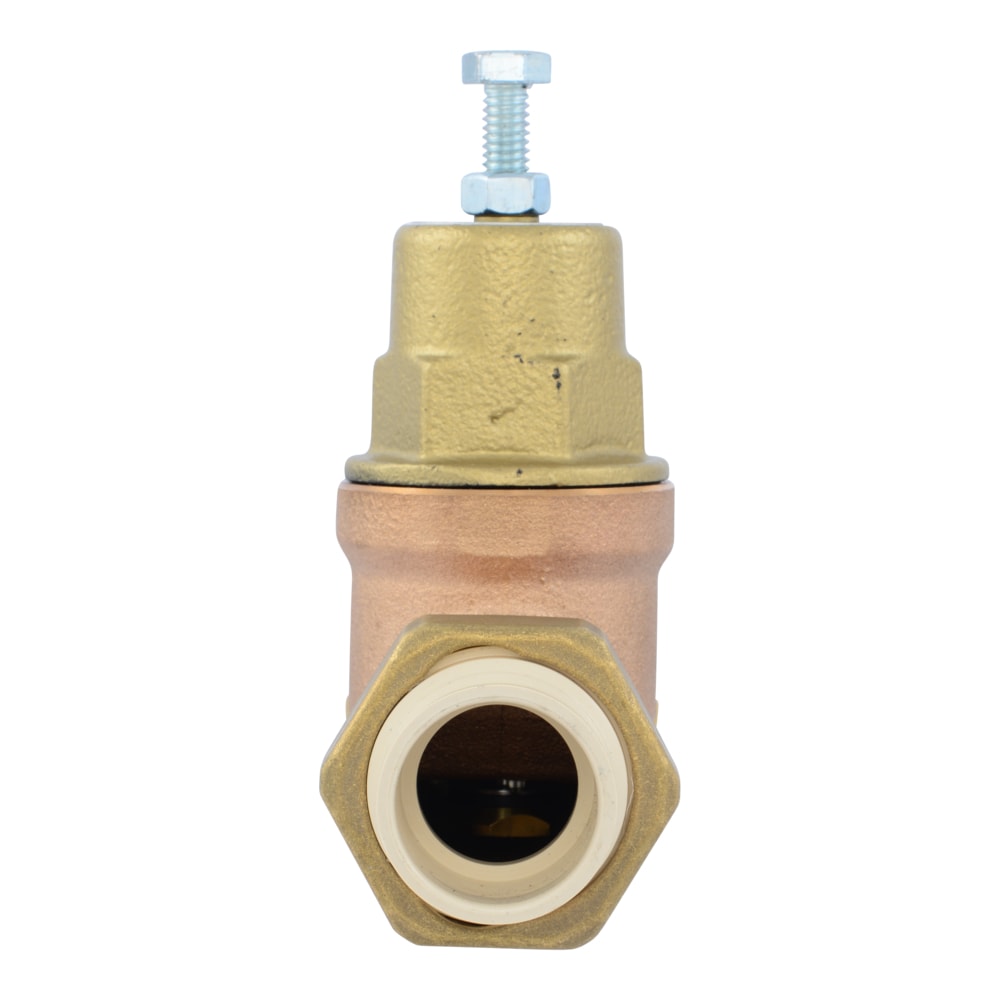 Cash Acme PVA20M-DUVC-60 Pressure-Relief-Valves-Regulators - View #2
