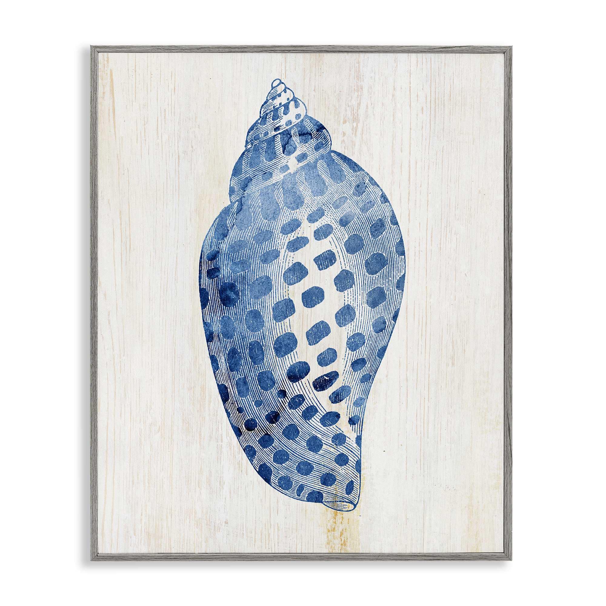 Stupell Industries BS-152-GFF-16X20 Spotted Blue Cowrie Shell Gray Framed Giclee Art By Susan Arnot 16 x 20