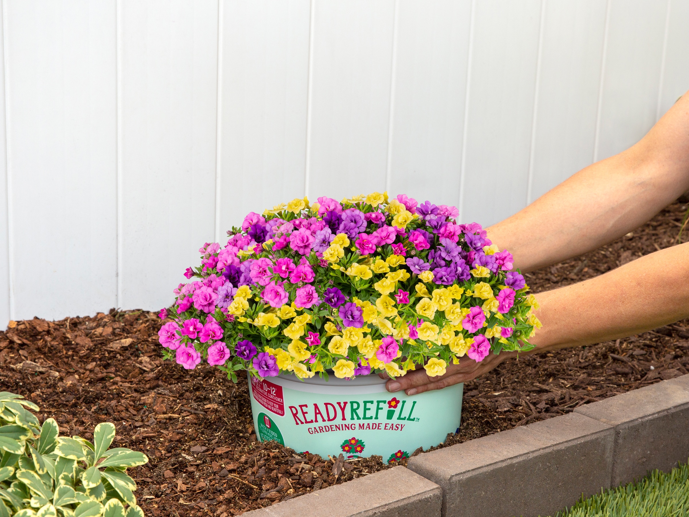 Ready Refill 825234 annuals - View #7
