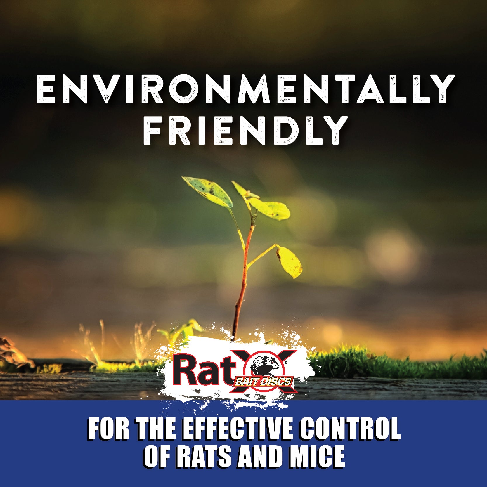 RatX 620118 Animal-Rodent-Control - View #9