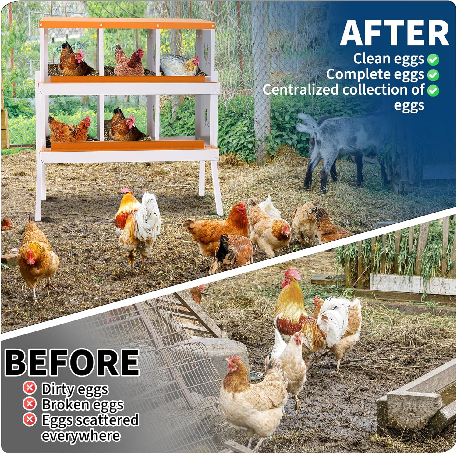 Qeetex WLS-PPG-33LQPYQN Chicken-Coops-Rabbit-Hutches - View #4