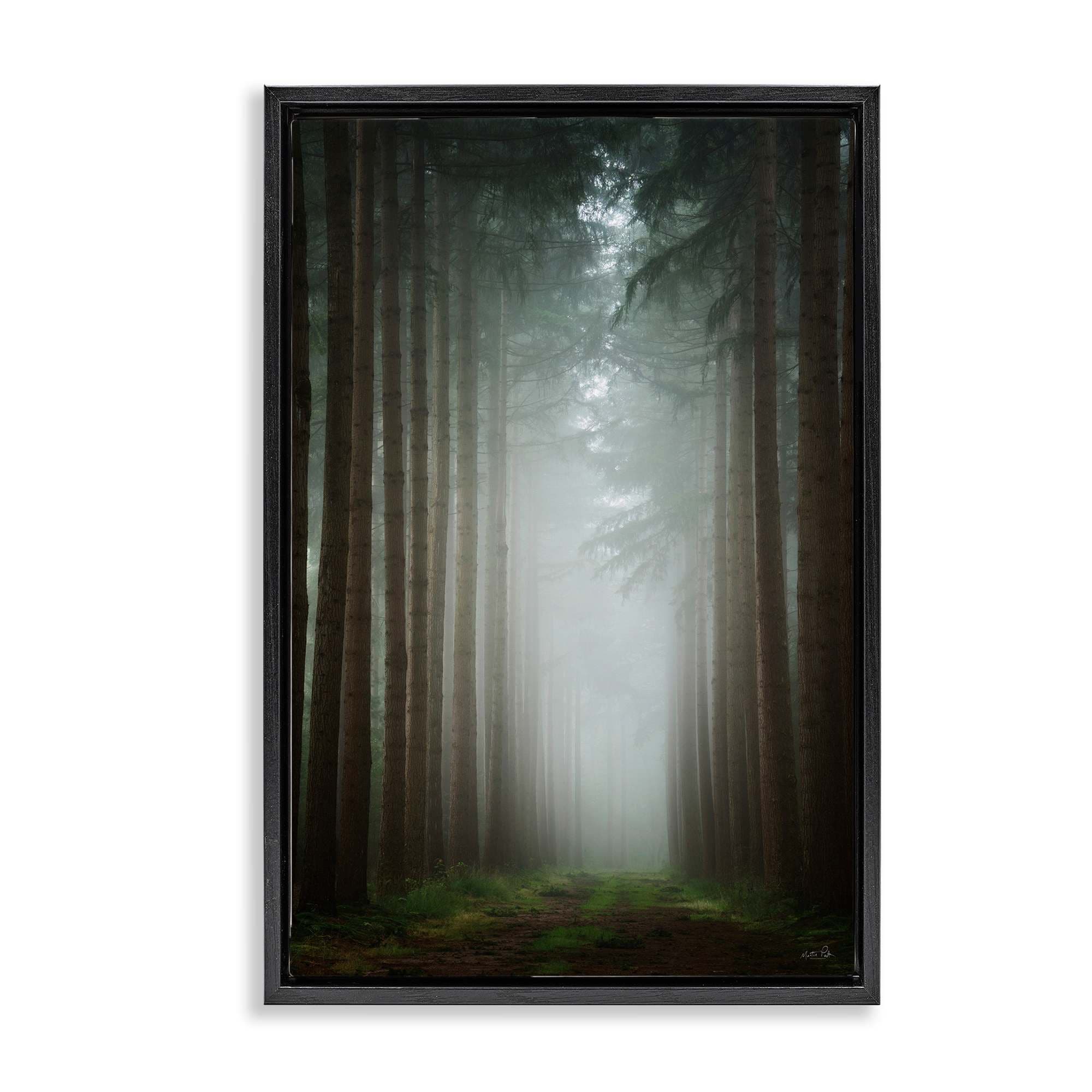 Stupell Industries BT-591-FFB-16X24 Moonlight Through Dark Forest Floating Frame design by Martin Podt