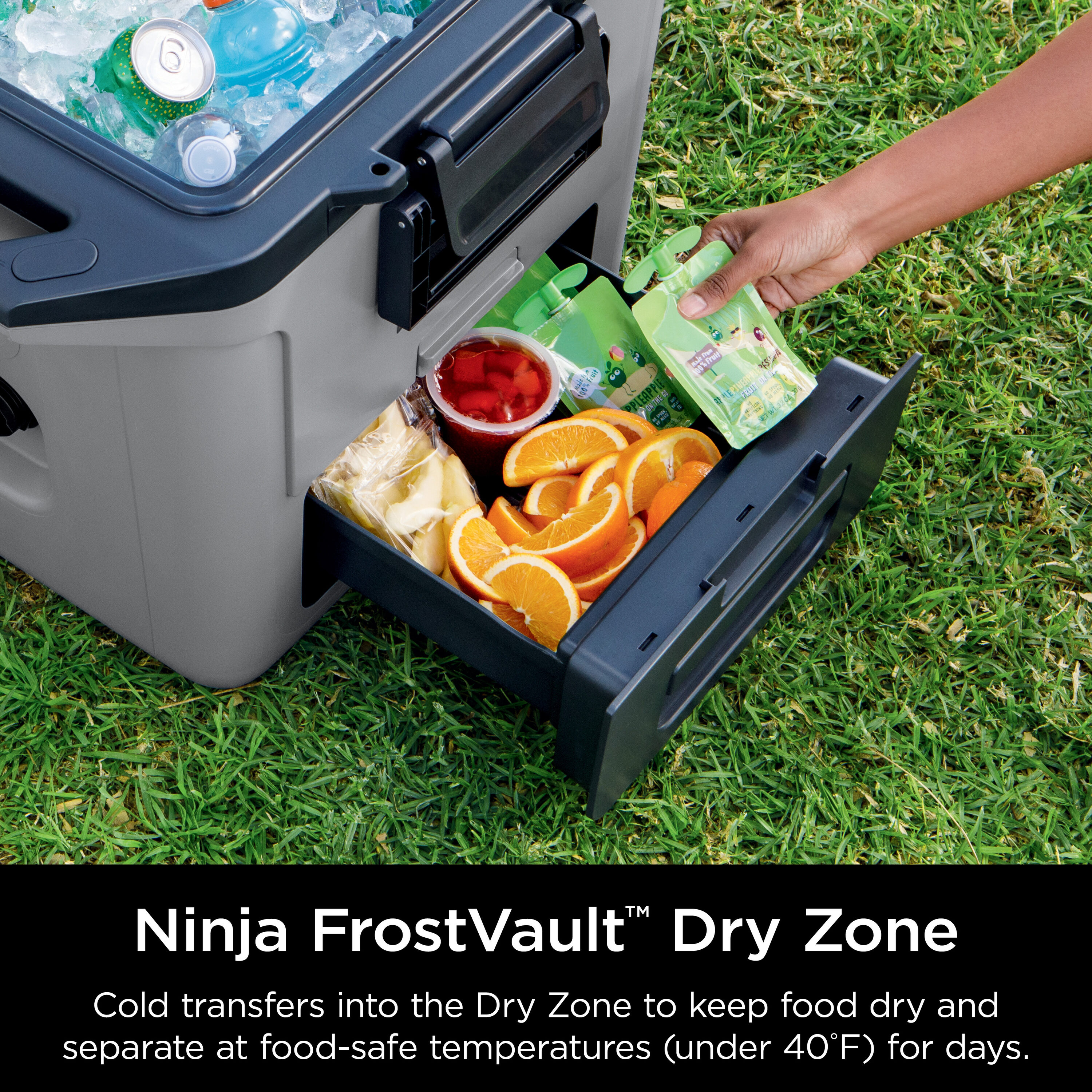 Ninja FB131GY Portable-Coolers - View #3
