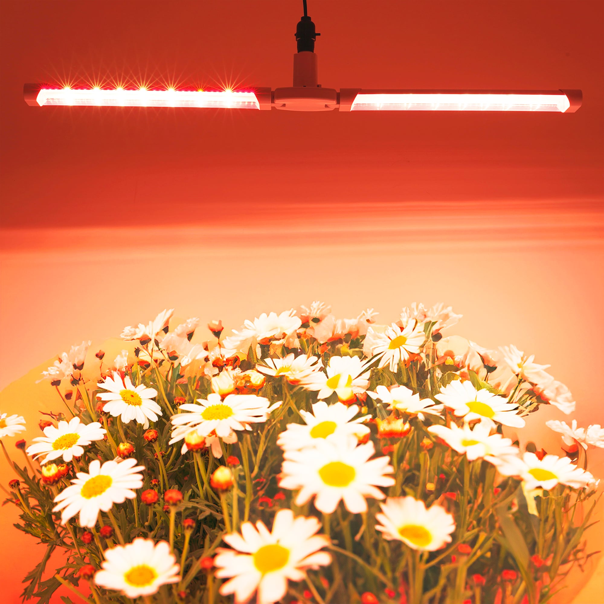 Utilitech Z-B2107-GR2P-C Grow-Lights - View #10