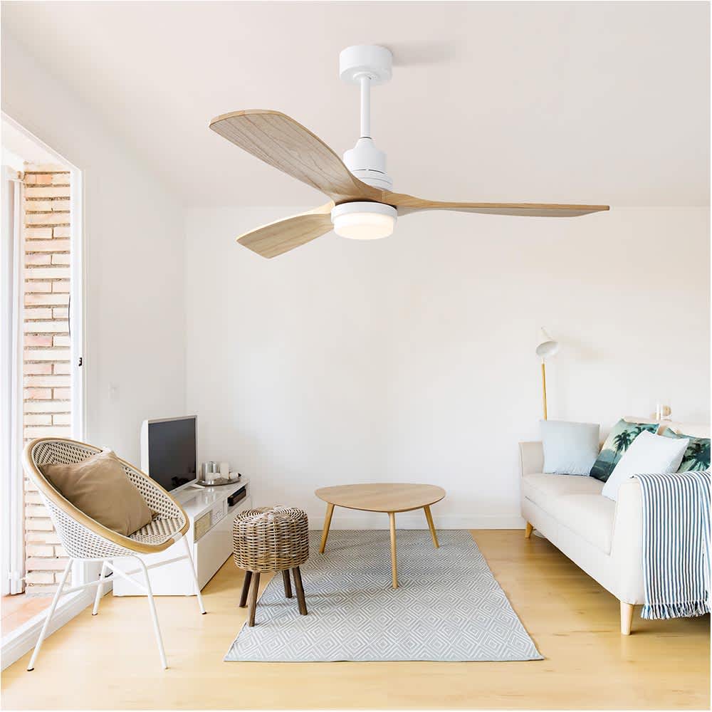 JUJABU FAN-13 Ceiling-Fans - View #3