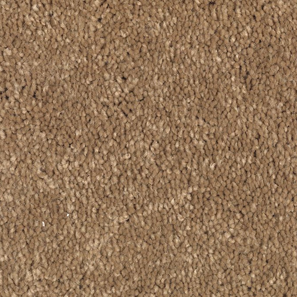 STAINMASTER STP34-12-L010 Uptown trend I Flax seed Brown 38-oz sq yard Polyester Textured Indoor Carpet