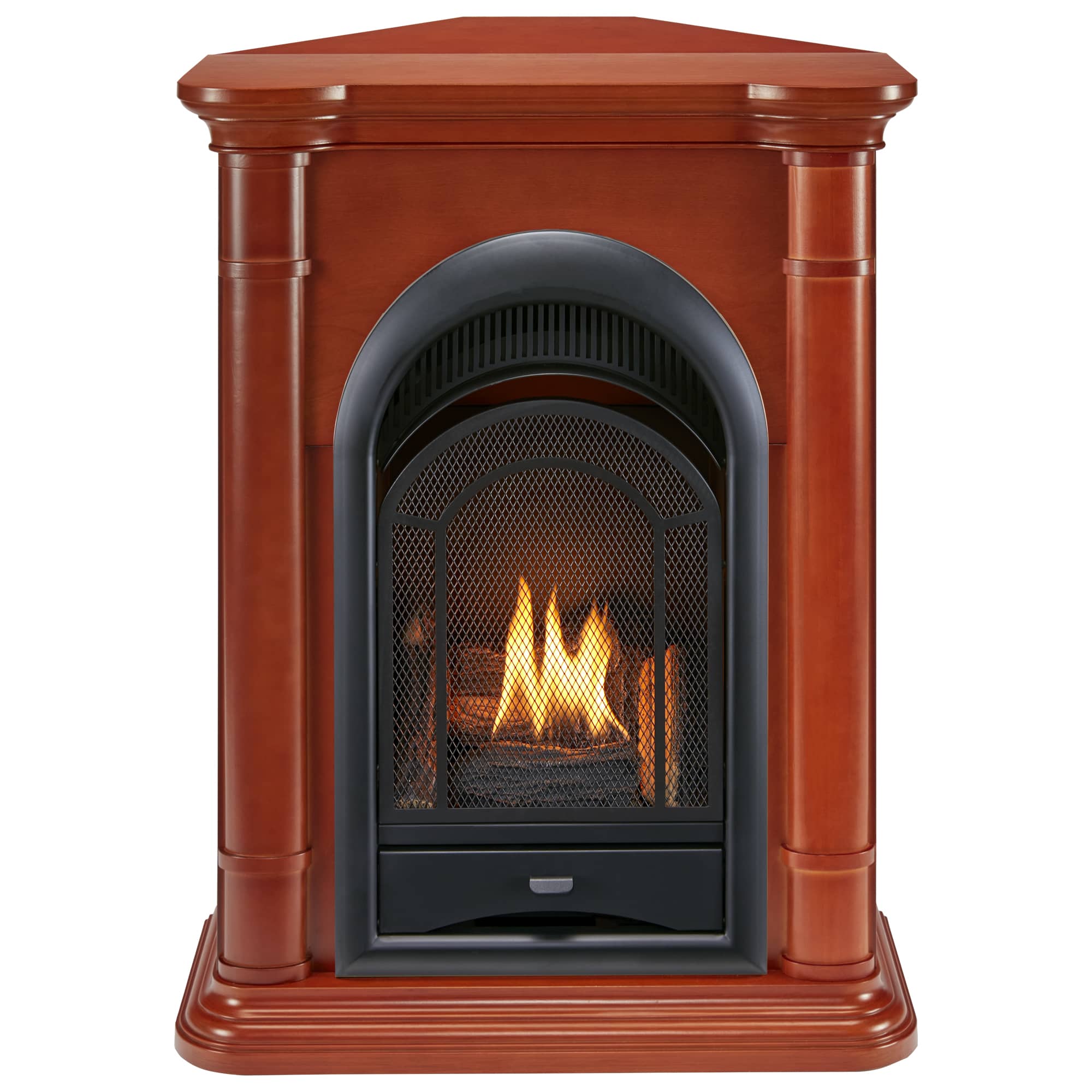 ProCom FS100T-3AS Gas-Fireplaces - View #5