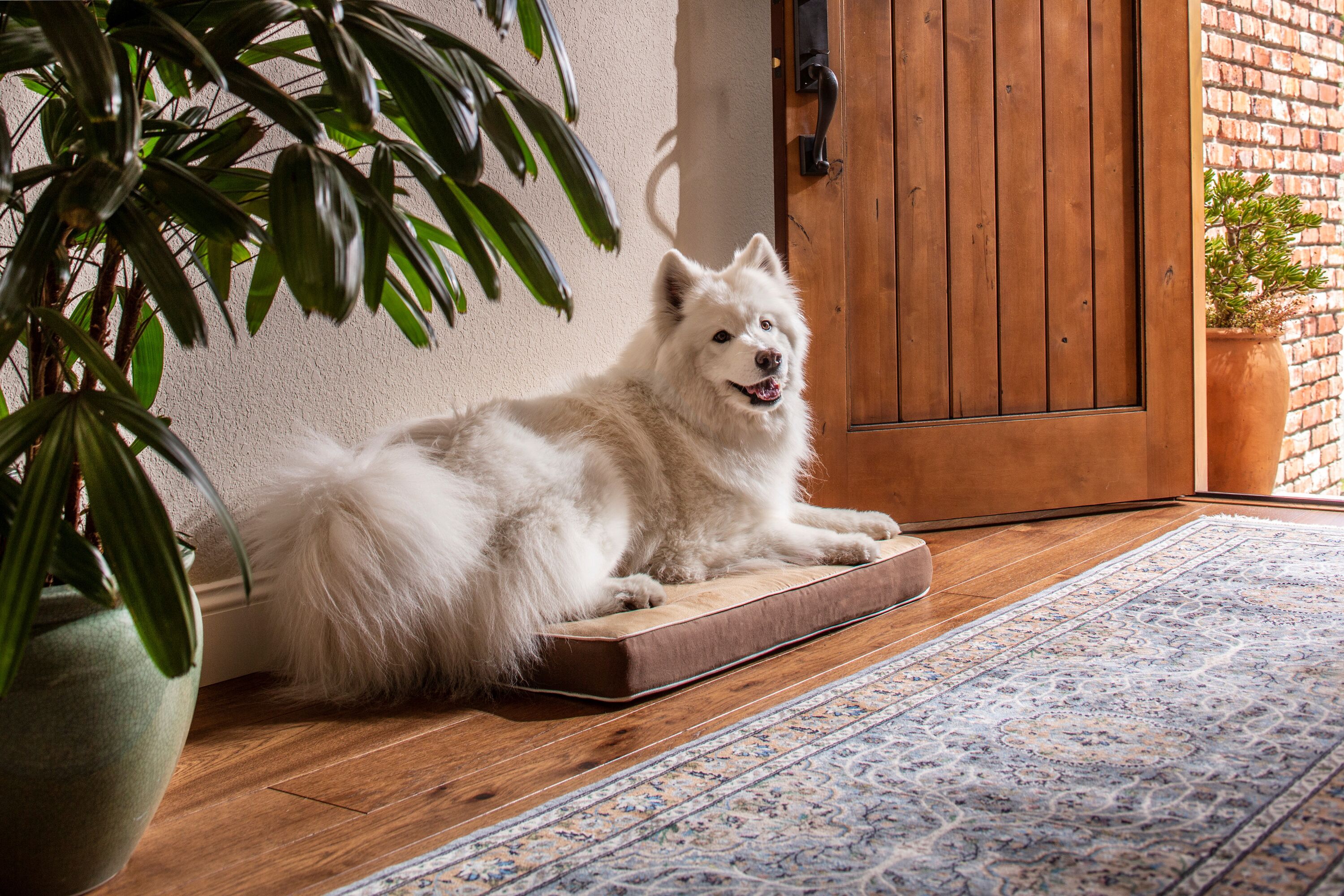 New Age Pet CSH400-XL Pet-Beds - View #2