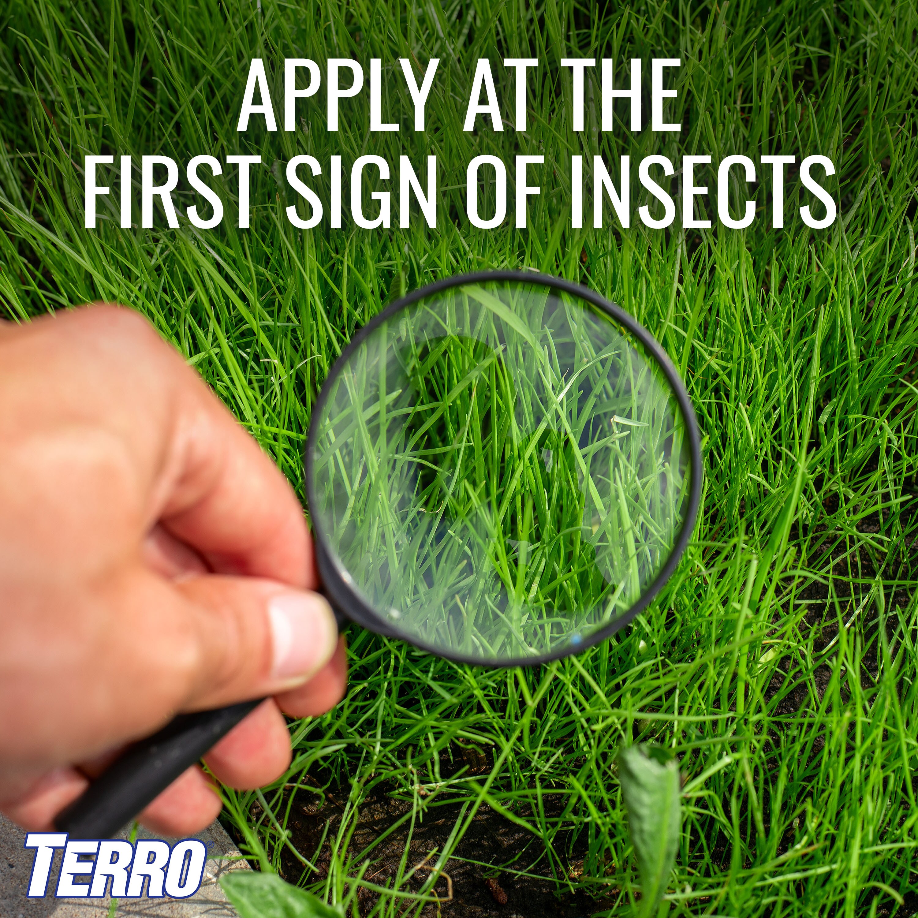 TERRO T1240 pesticides - View #6
