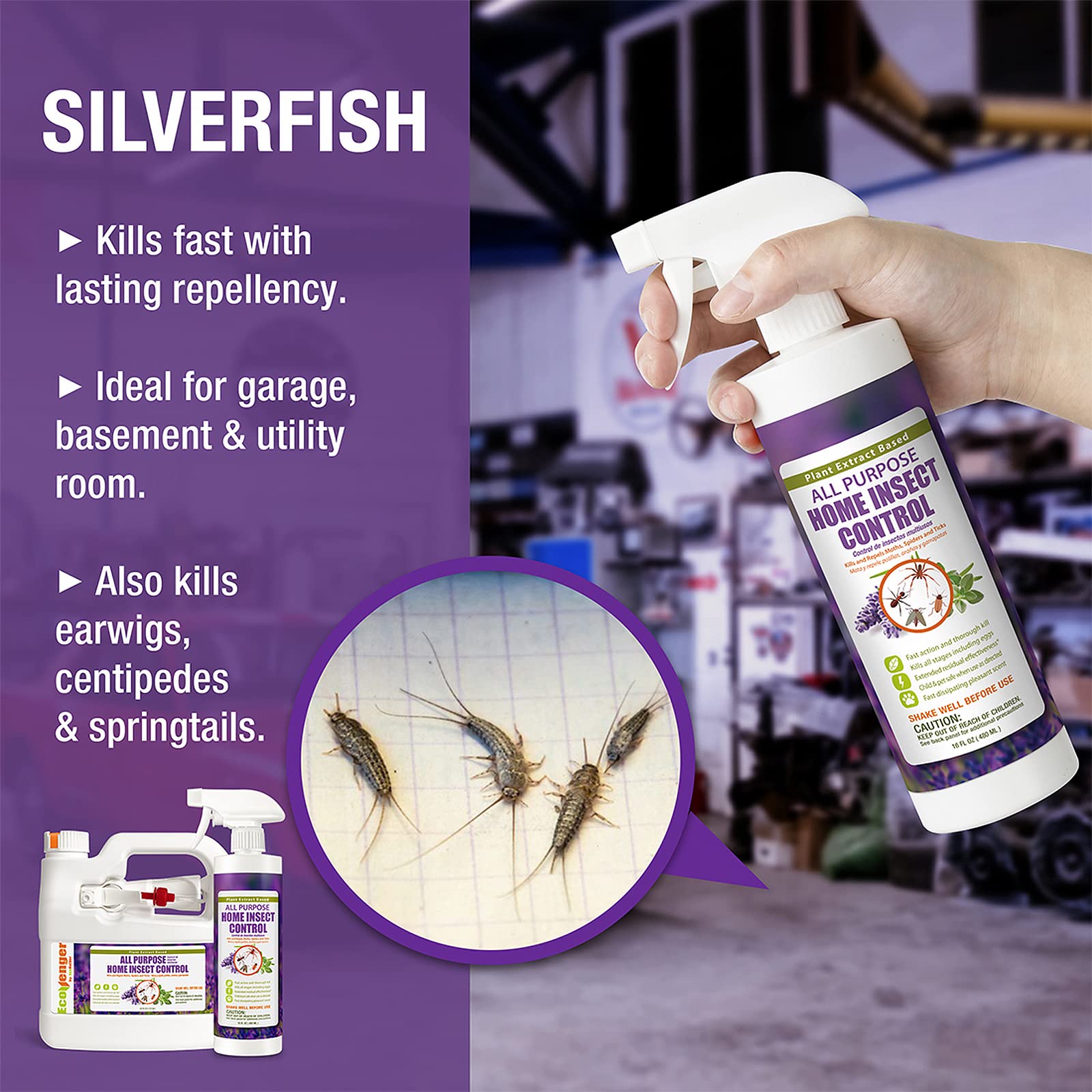 Quality Silverfish Pest Control Products & Services – EcoPest Supply