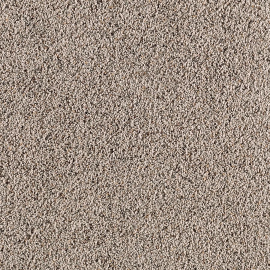 STAINMASTER S622588AUTUMN F-LE I (Sample) Essentials Renewed Style I Autumn Fog Shag/Frieze Carpet