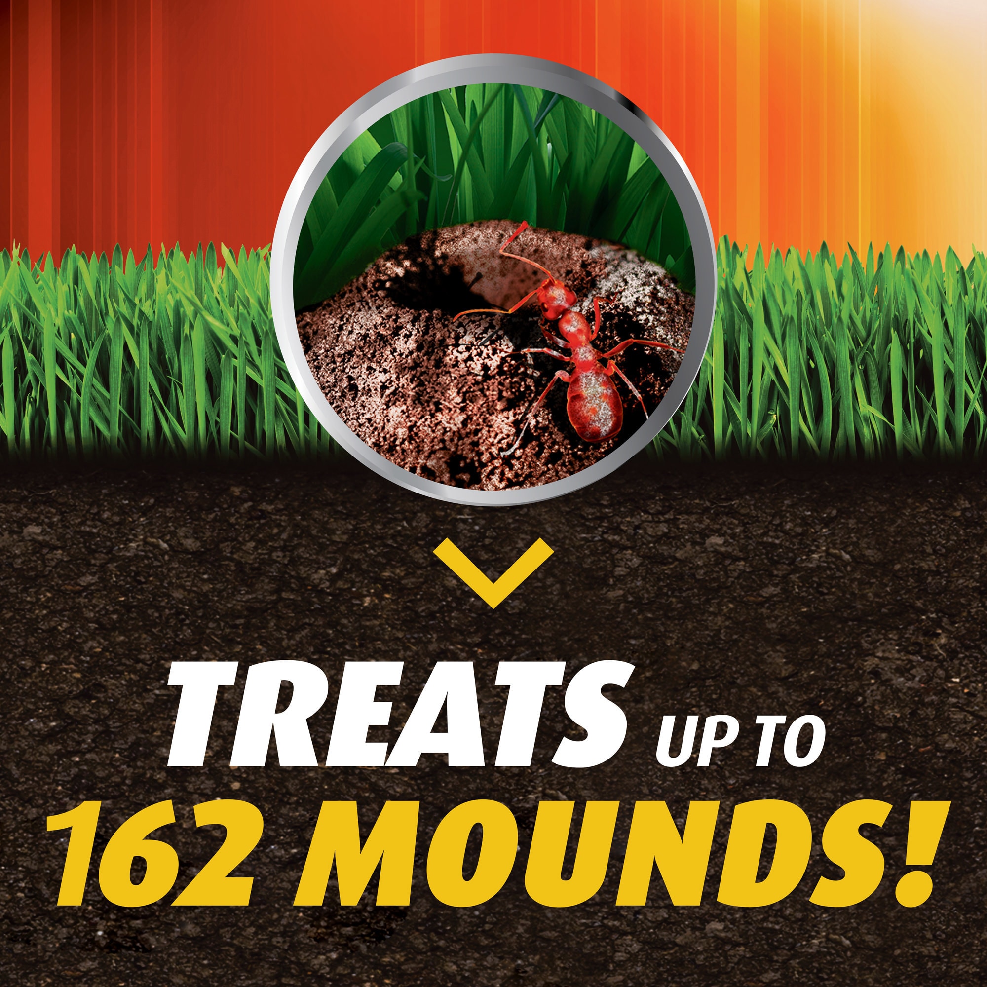 ORTHO 0282201 pesticides - View #4