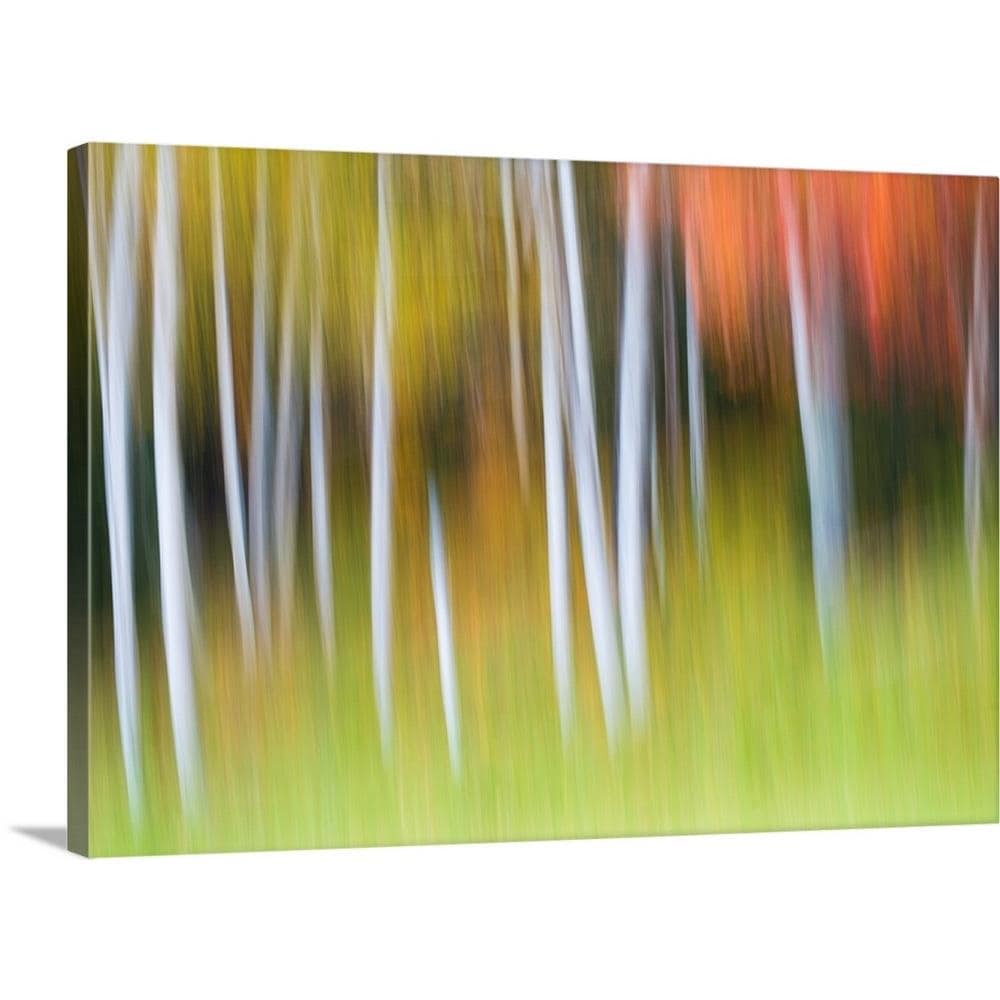 GreatBigCanvas 2459550-24-30X20 20-in H x 30-in W Abstract Print on Canvas