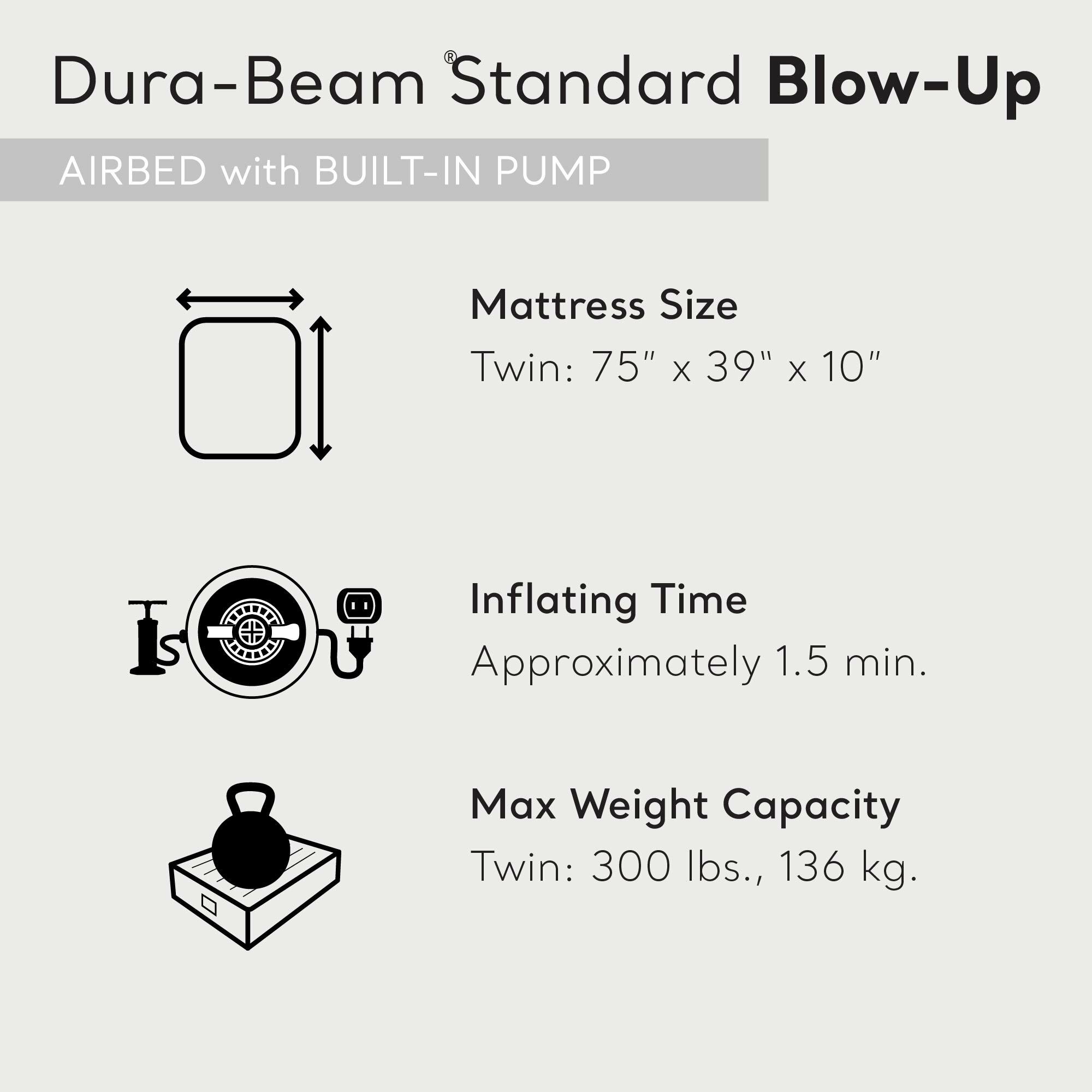 Intex Twin Blue Raised Air Mattress with Built-In Pump