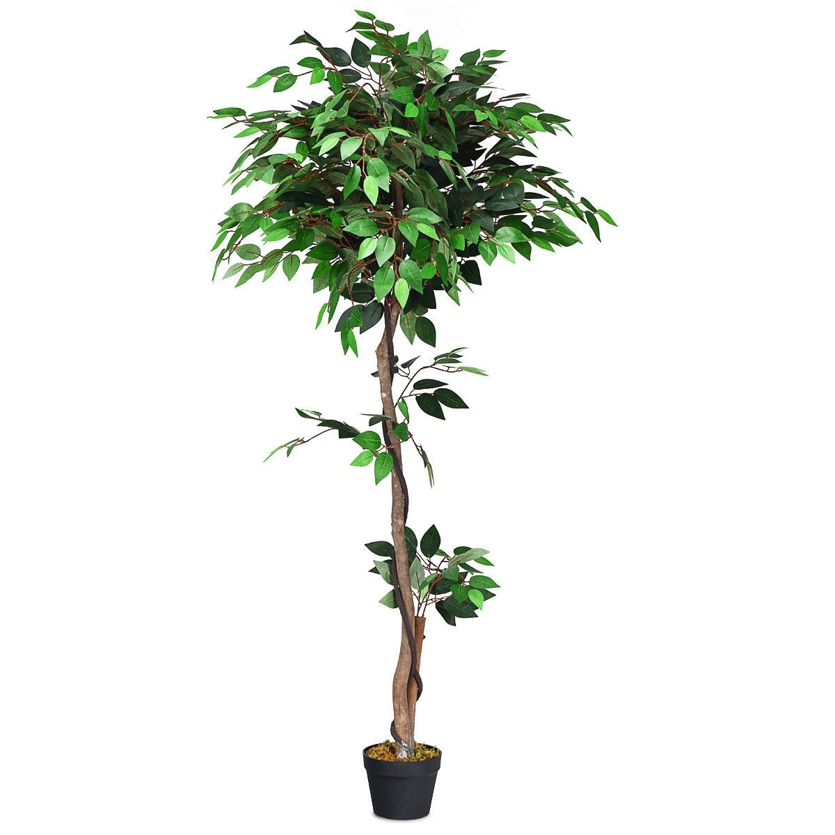 YERIVA 511HW59 60-in Green Indoor Floor Ficus Artificial tree