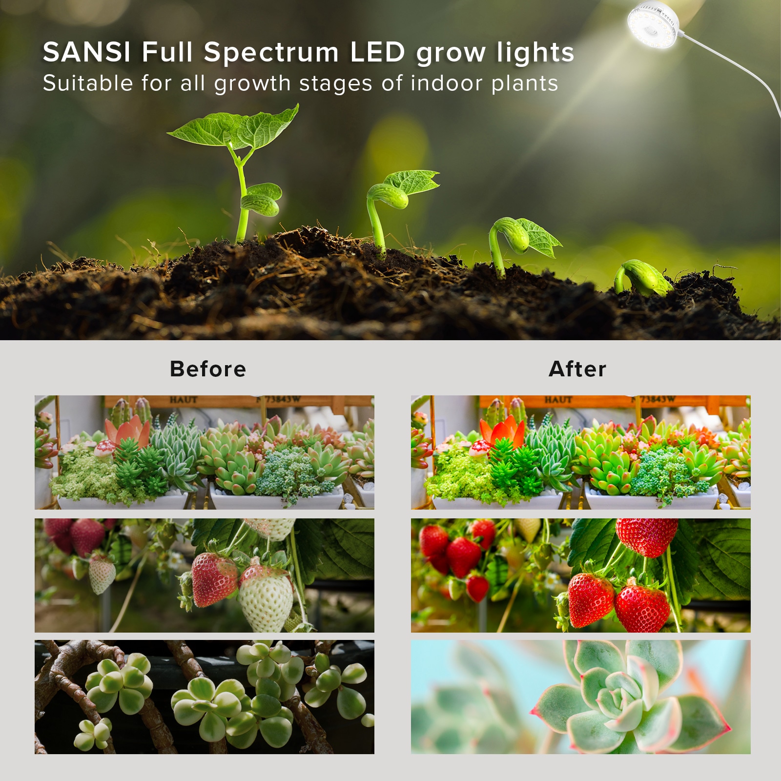 SANSI 01-03-001-061020 Grow-Lights - View #9