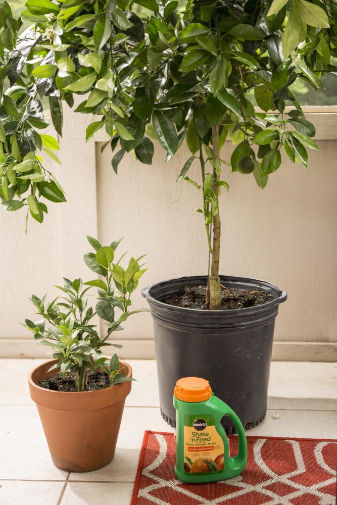 Miracle-Gro 104829 Plant-Food - View #5