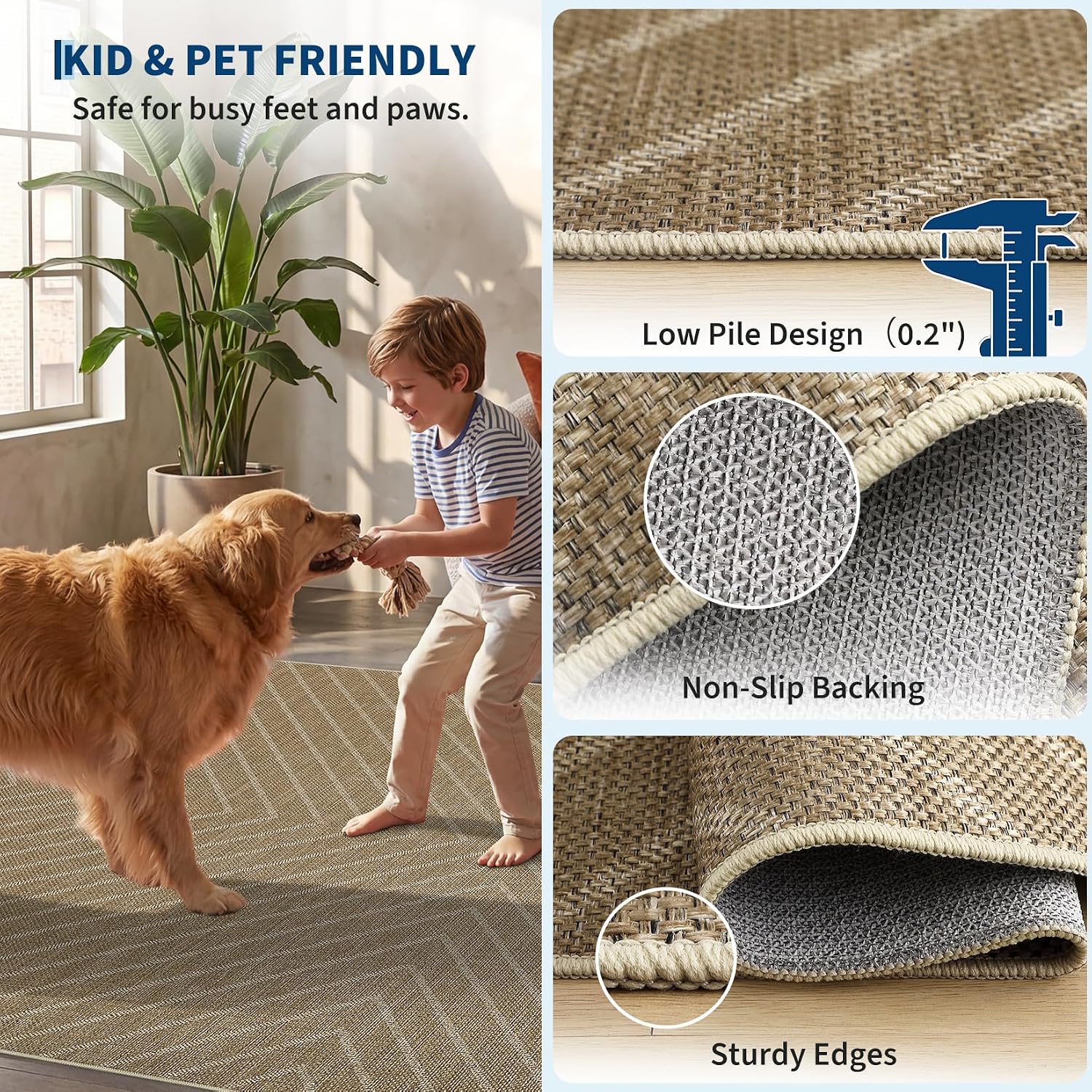 Aoile CIH-CRCSKYAF065 rugs - View #5