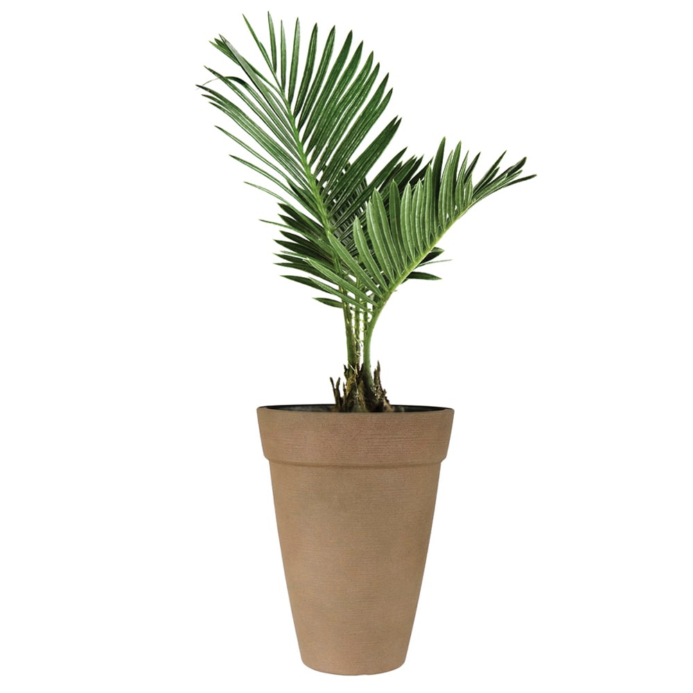 allen + roth US630148 Planter-Window-Box - View #9