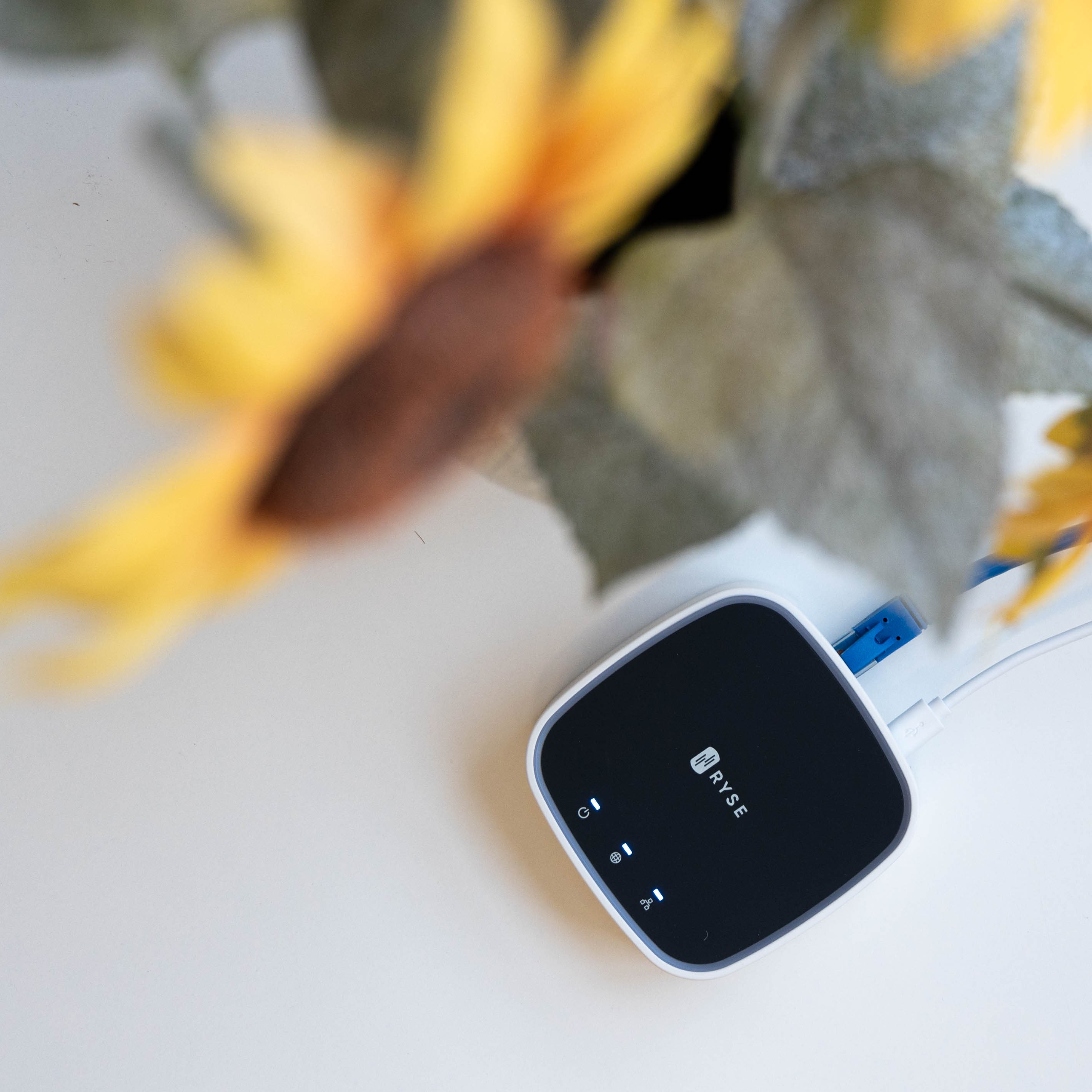 RYSE BR-0101 Smart Bridge- Supports Apple Homekit, Alexa, Google Assistant
