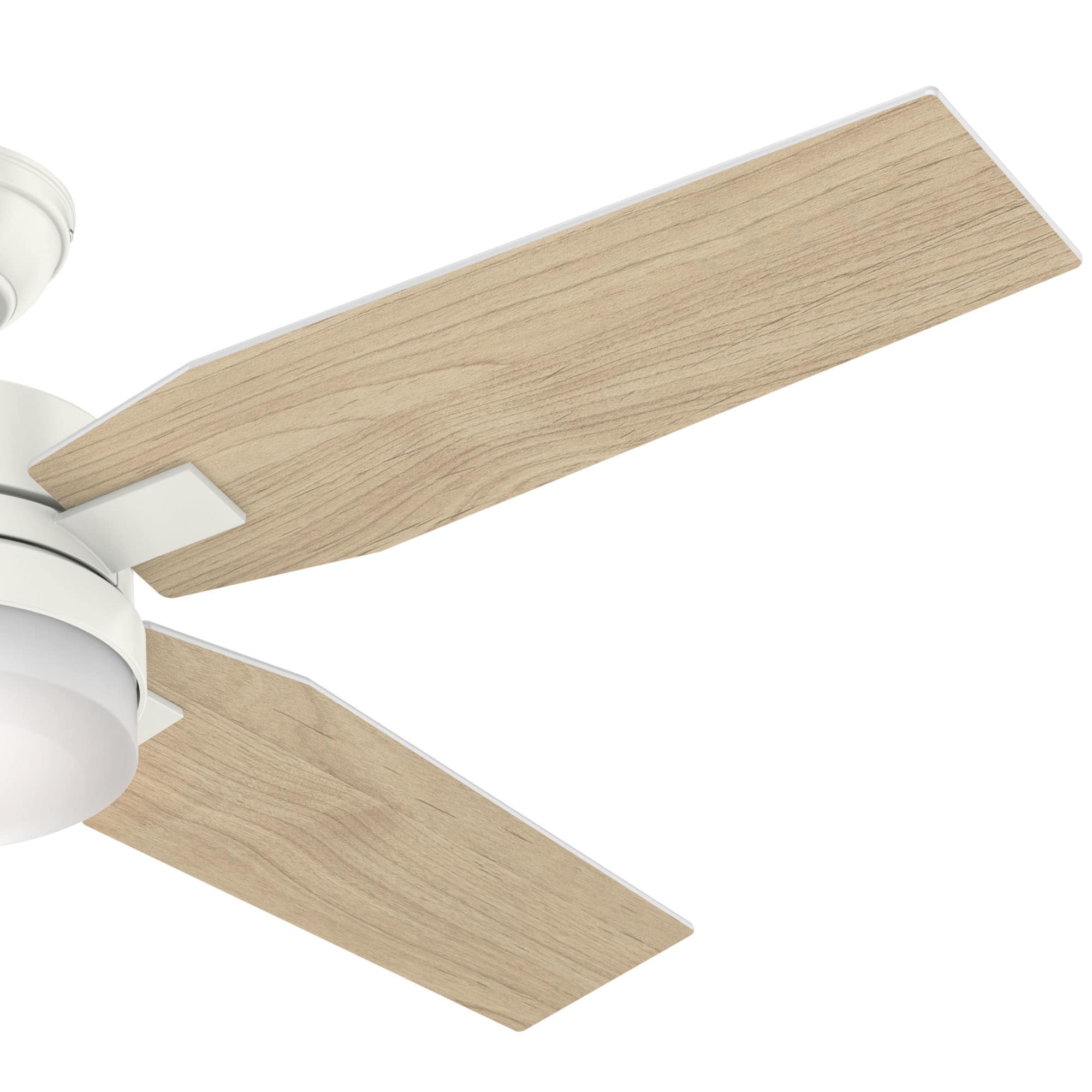 Hunter 59349 Ceiling-Fans - View #5